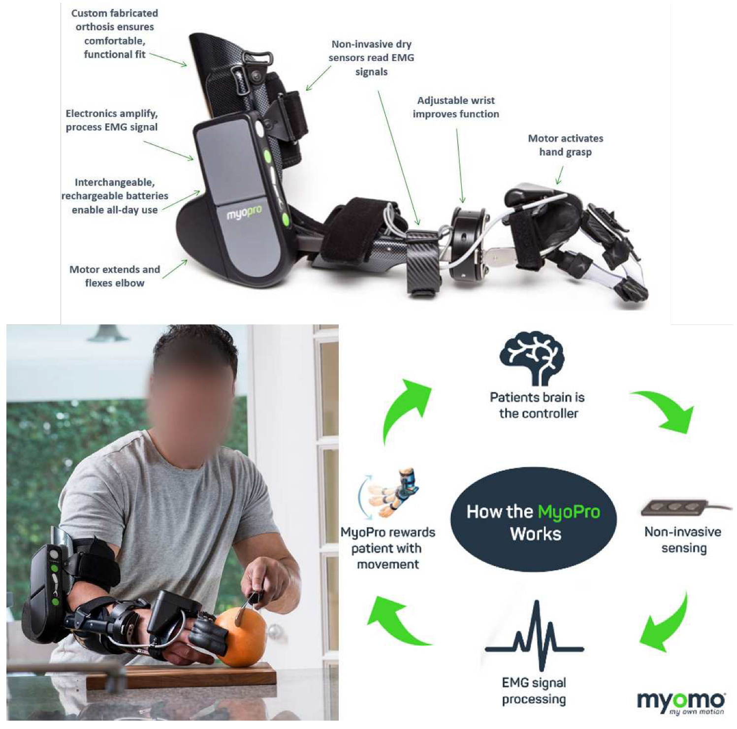 Preprints 90295 g022