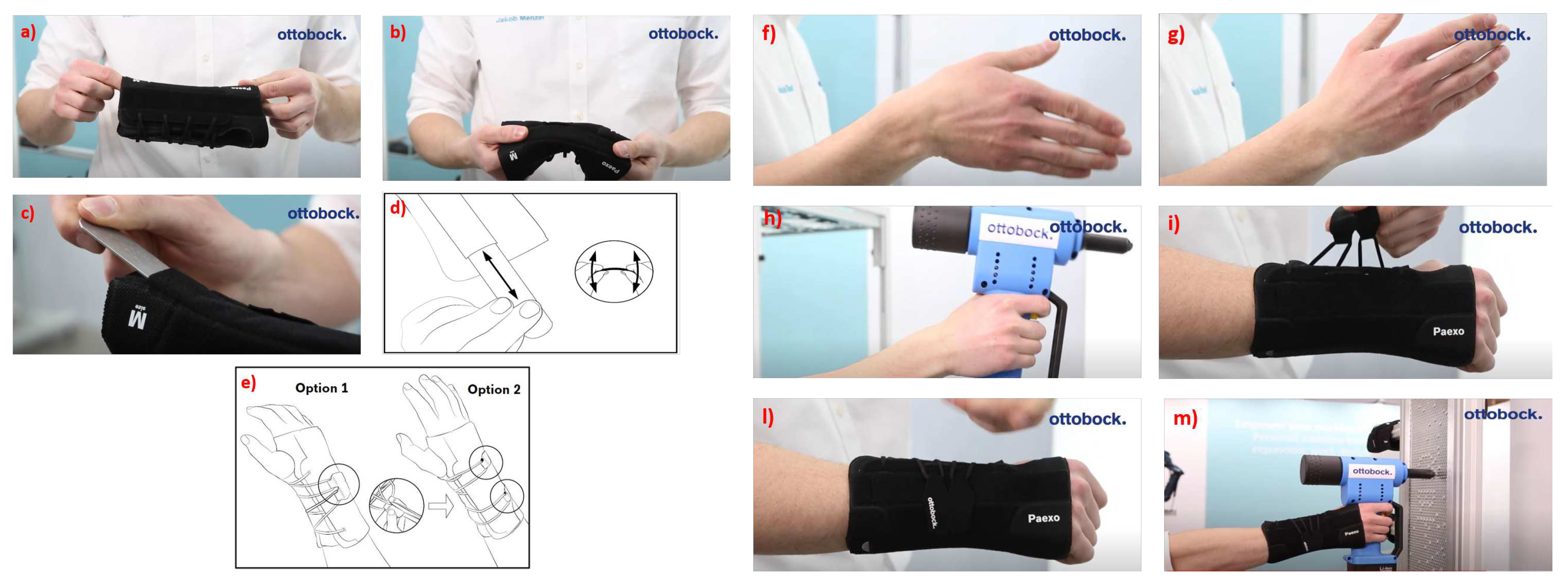 Preprints 90295 g026