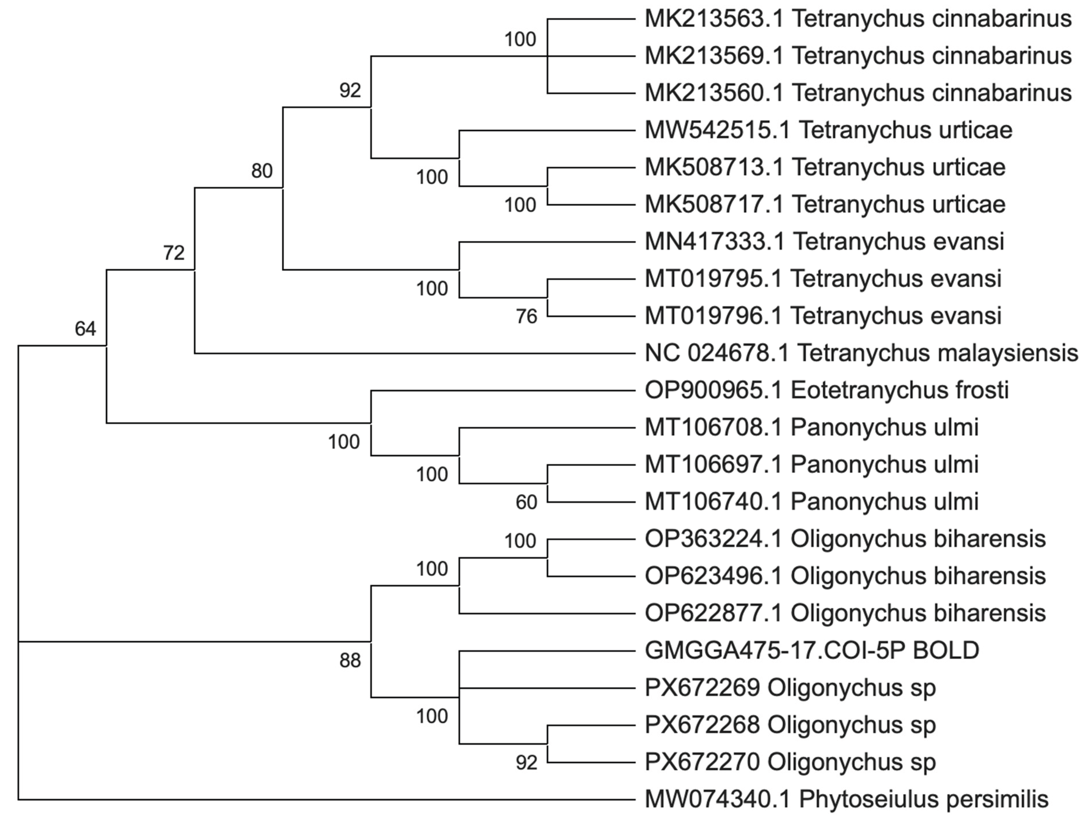 Preprints 191612 g001