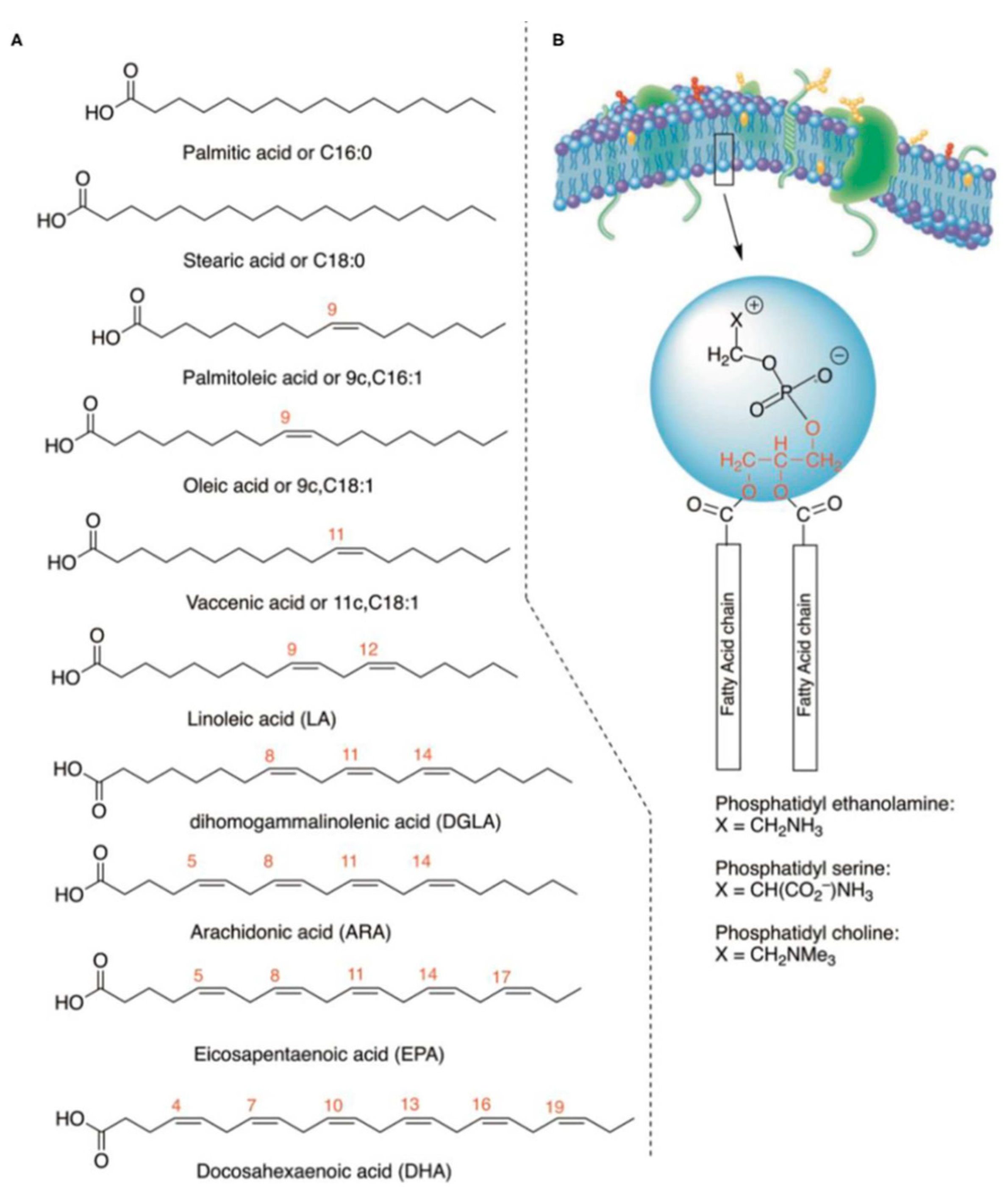 Preprints 150323 g002