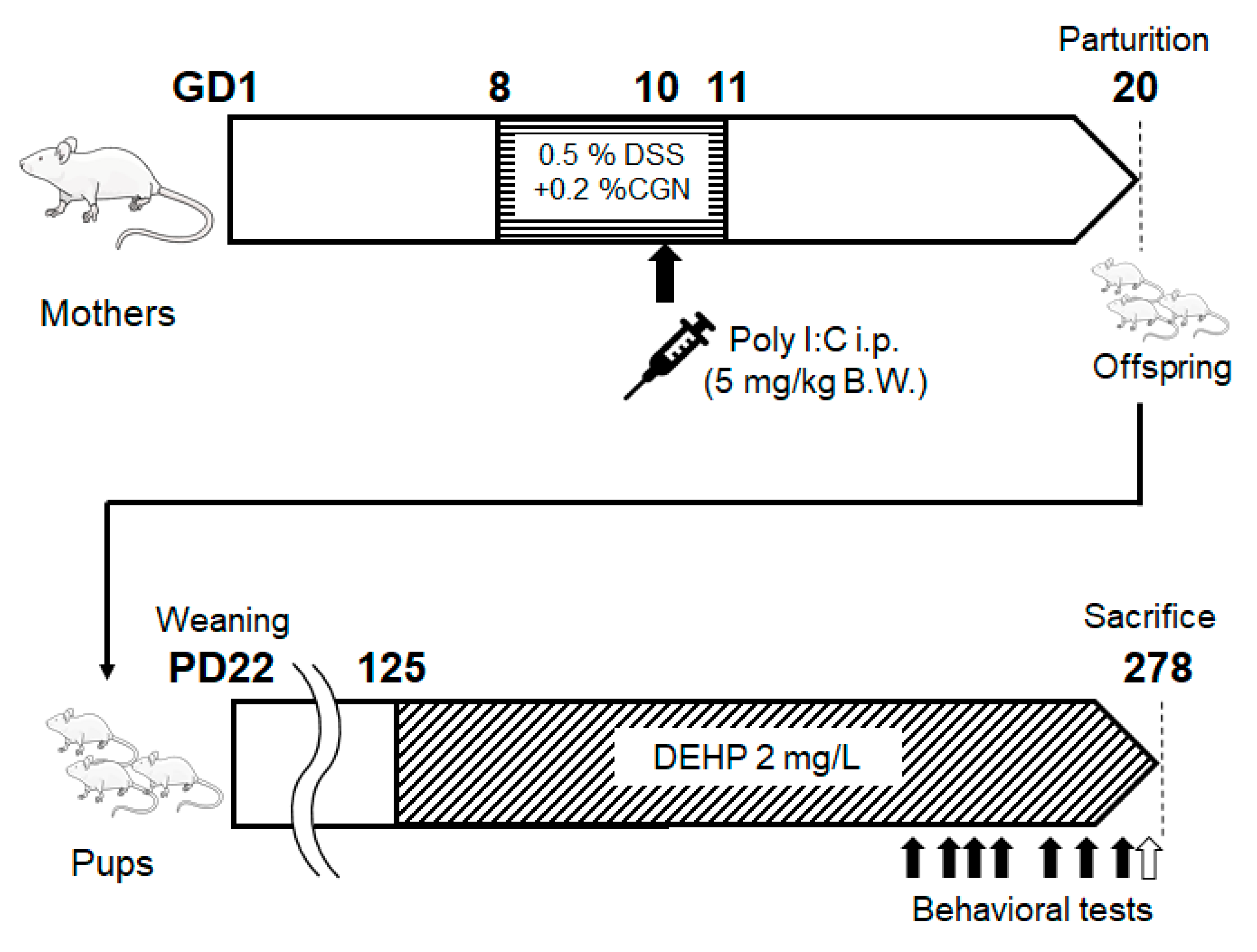Preprints 79520 g001