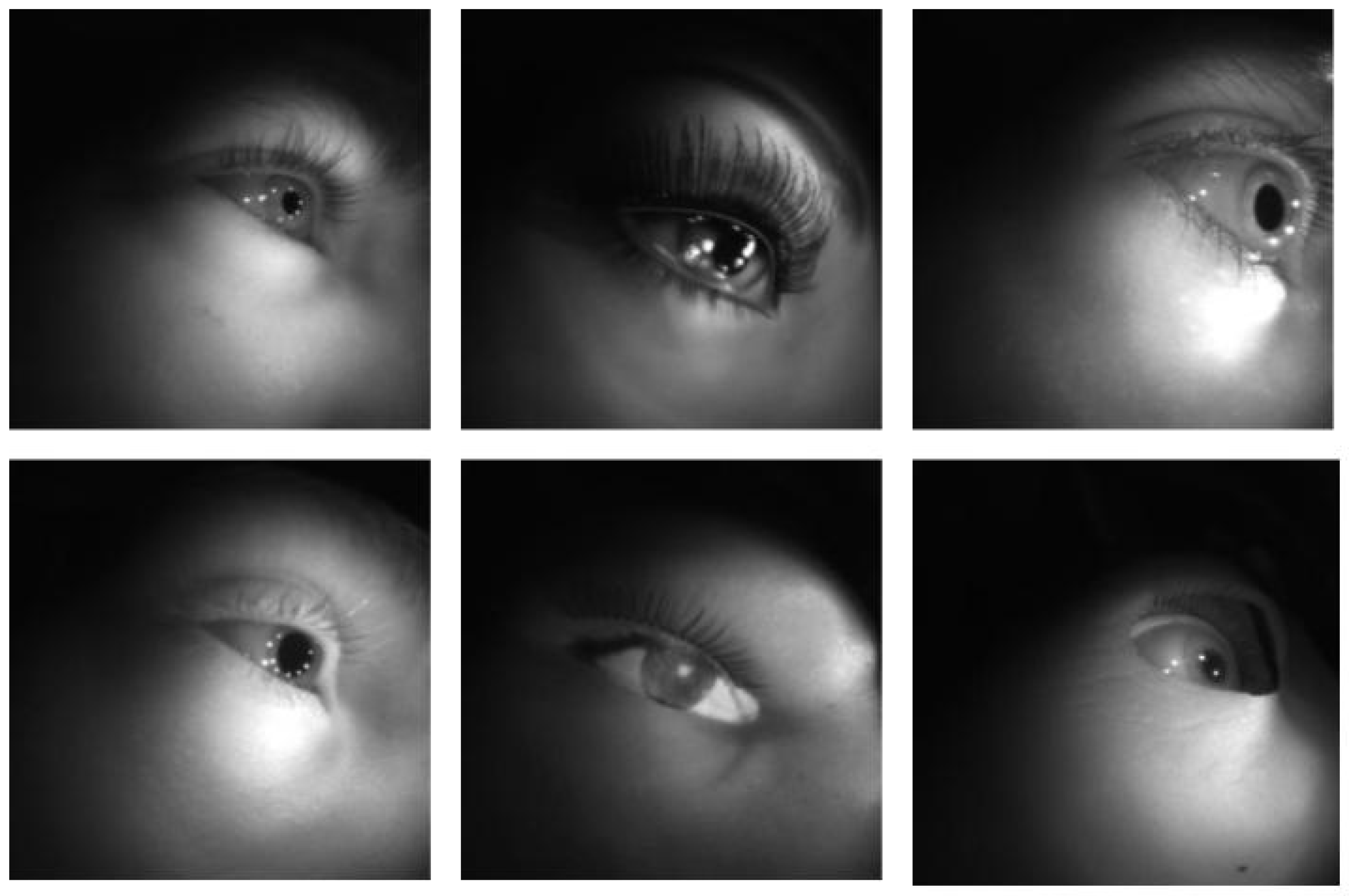 Preprints 164041 g001