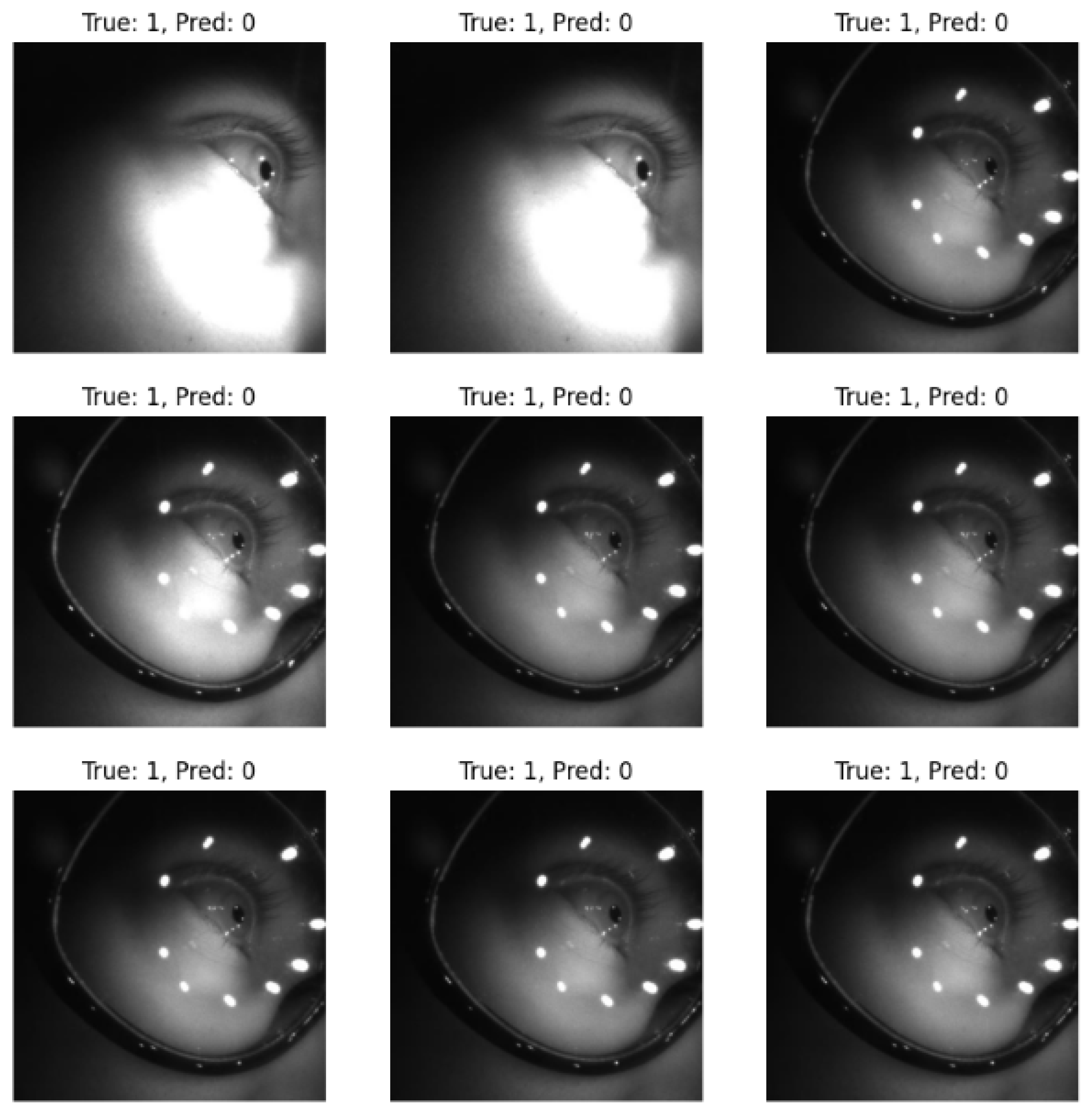 Preprints 164041 g002