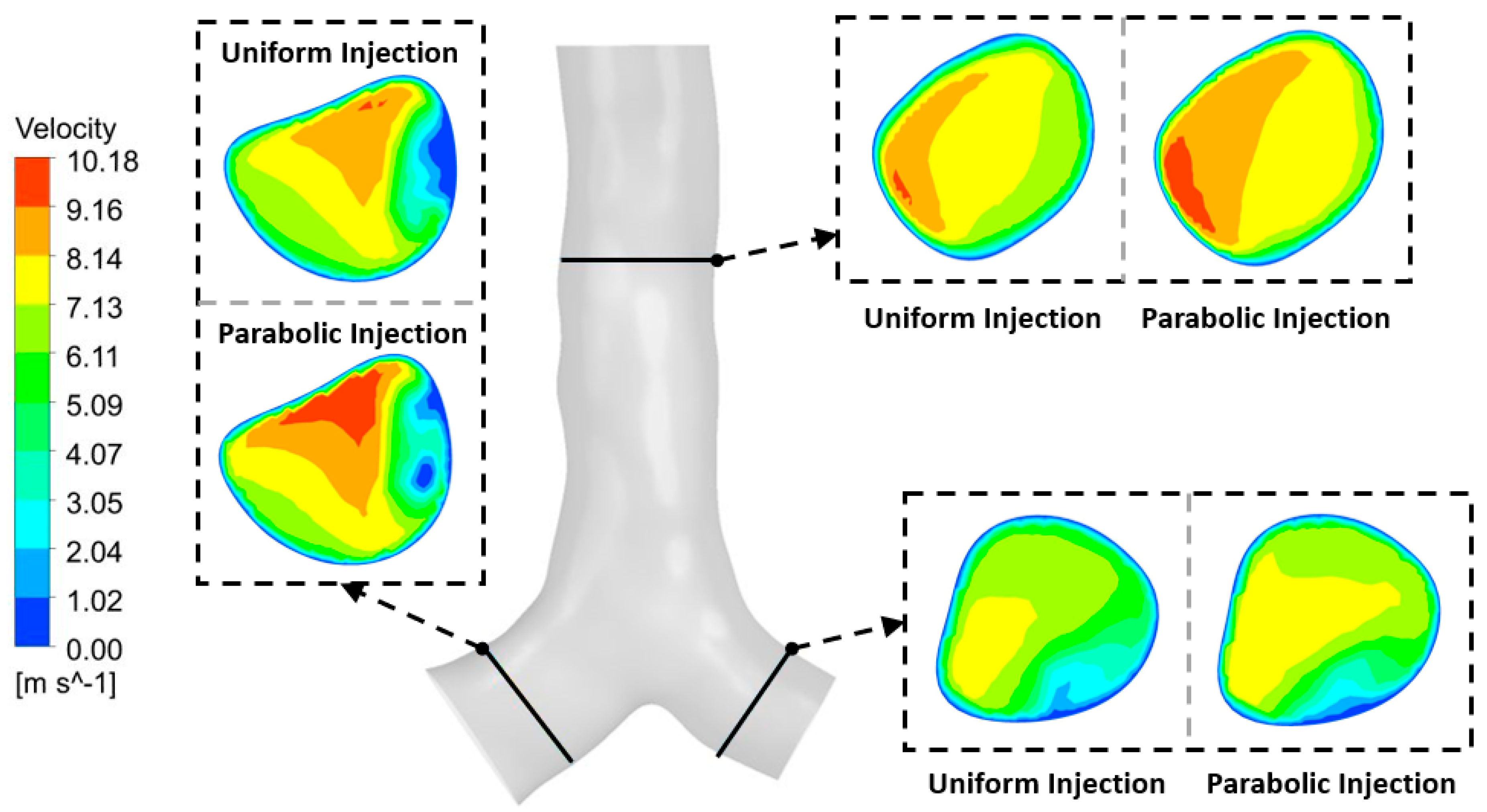 Preprints 71232 g008