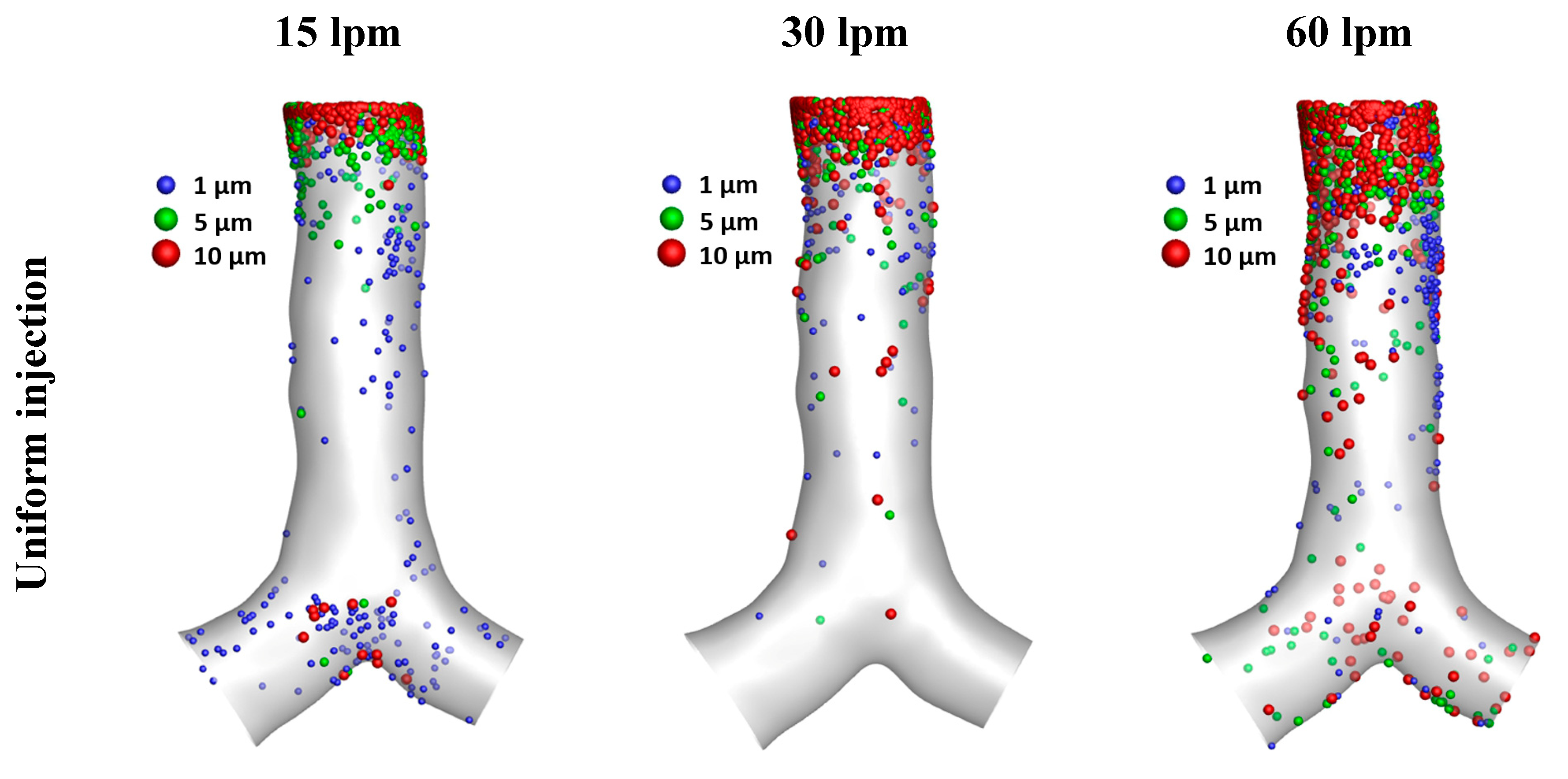 Preprints 71232 g015a
