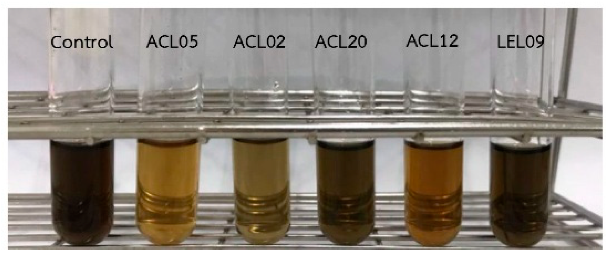 Preprints 194112 g001
