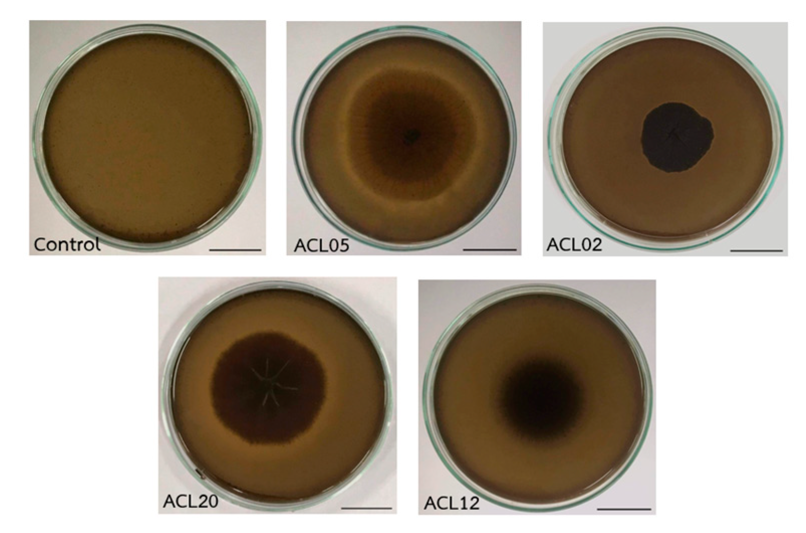 Preprints 194112 g002