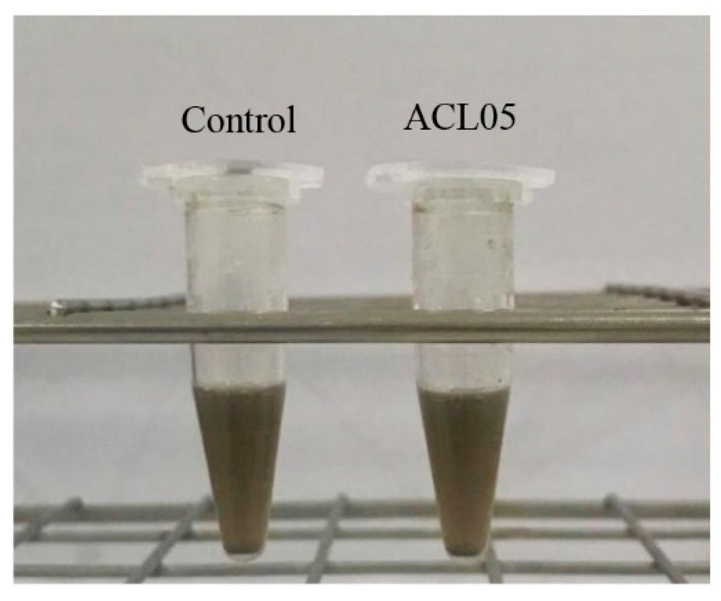 Preprints 194112 g006