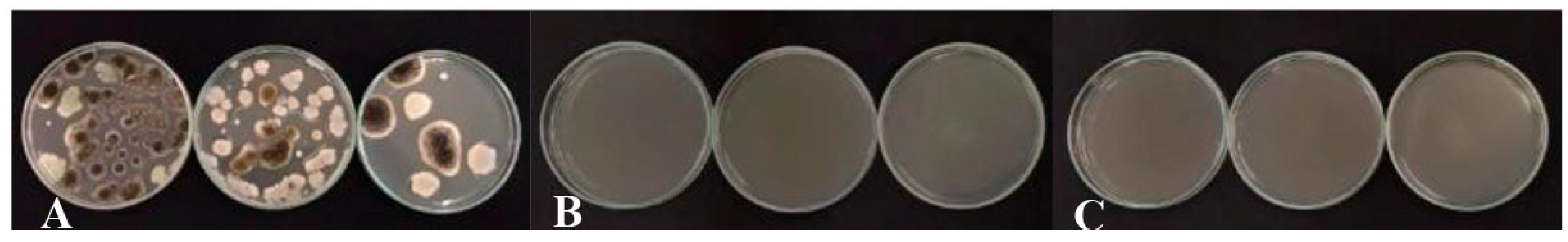 Preprints 194112 g007