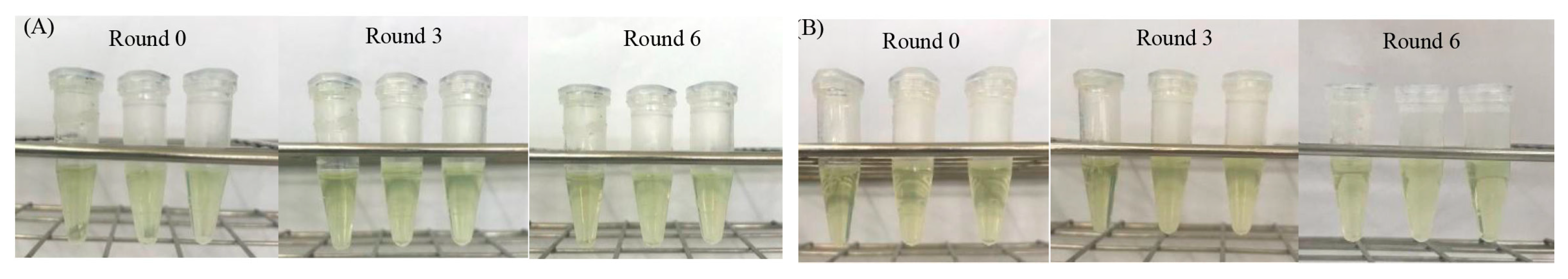 Preprints 194112 g011
