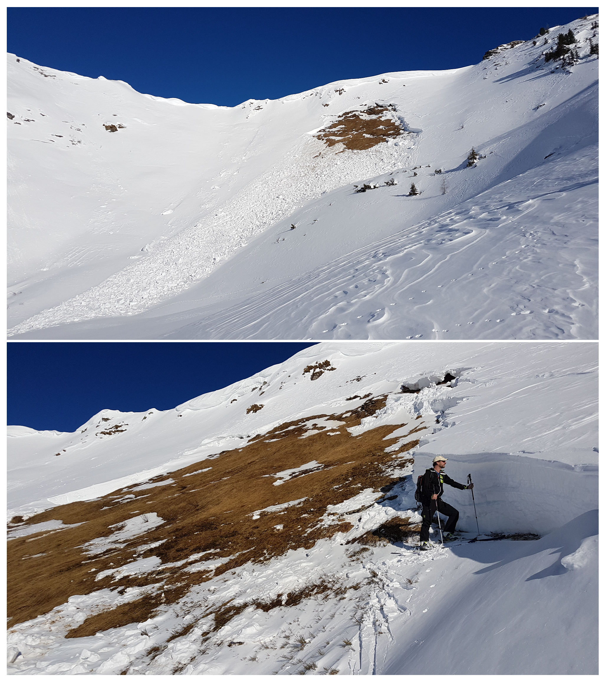 Preprints 190882 g001