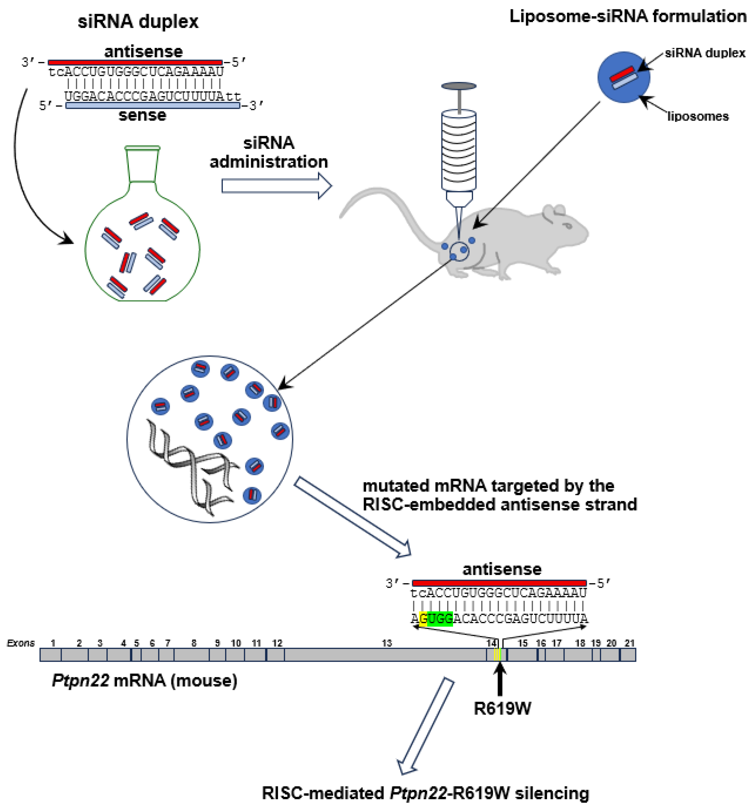 Preprints 180283 g003