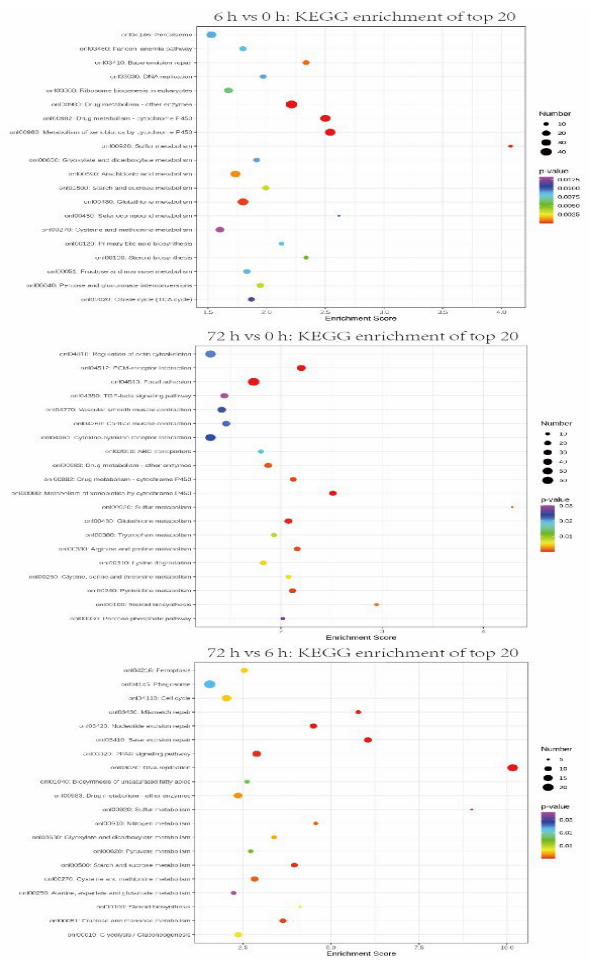 Preprints 215695 g004 Preprints 215695 g004