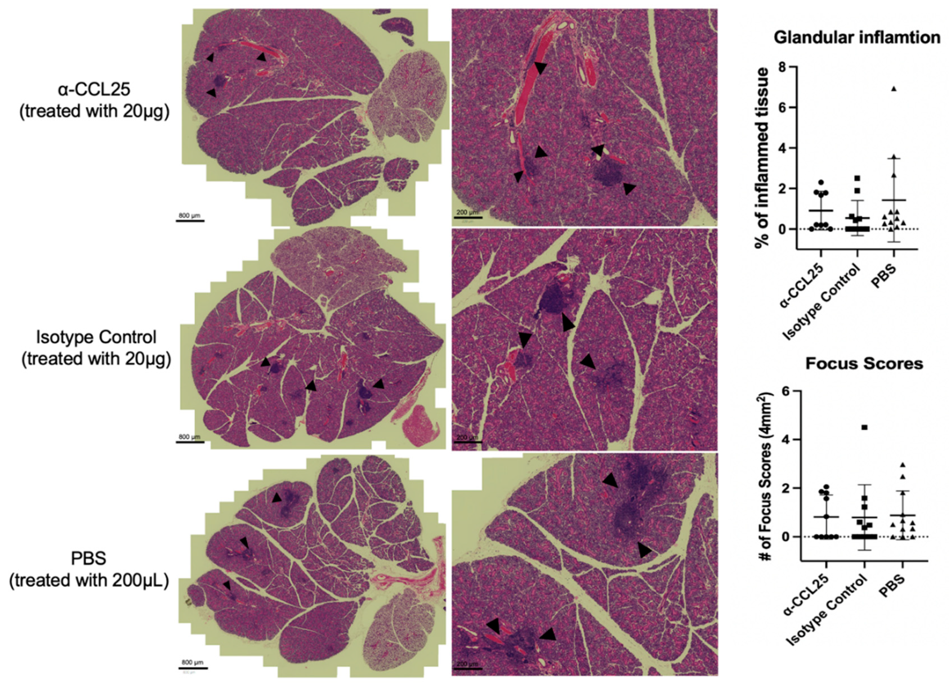 Preprints 172693 g003