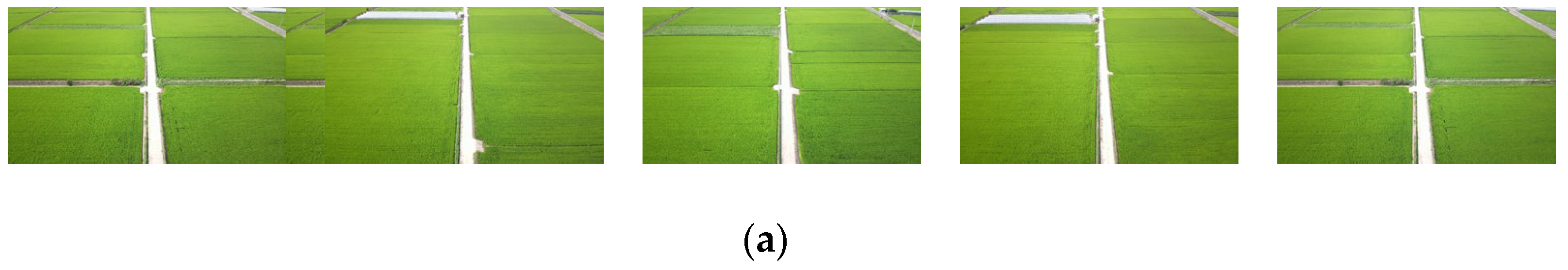 Preprints 190645 g007a
