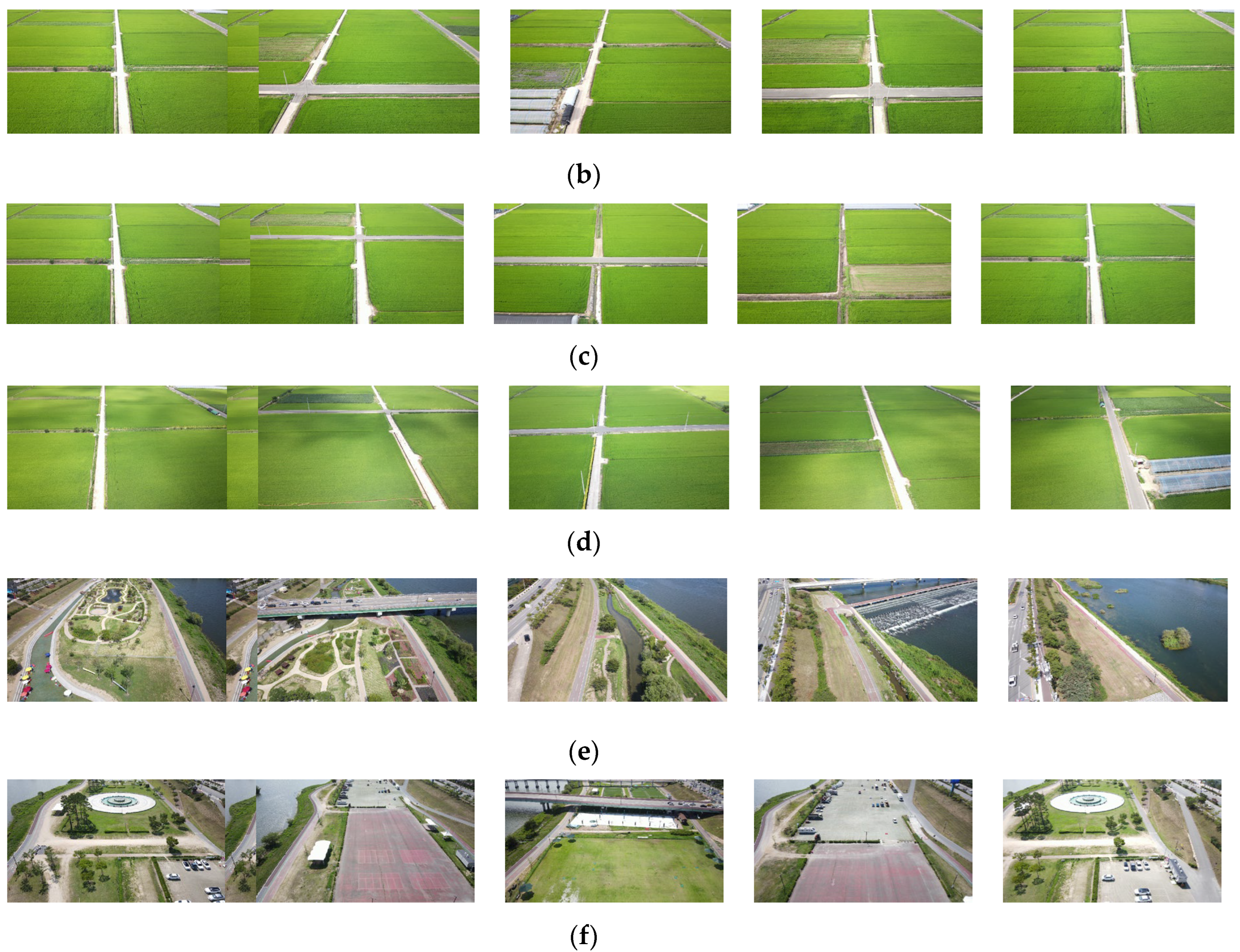 Preprints 190645 g007b