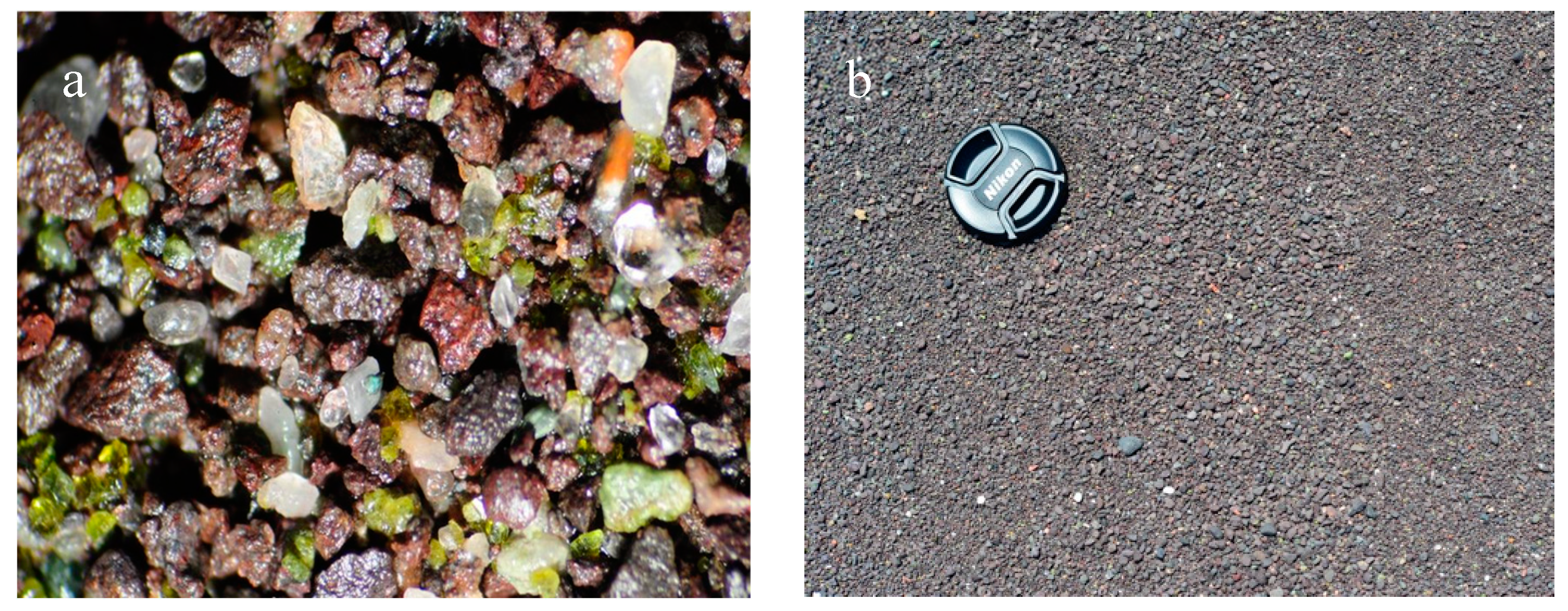 Preprints 141589 g003