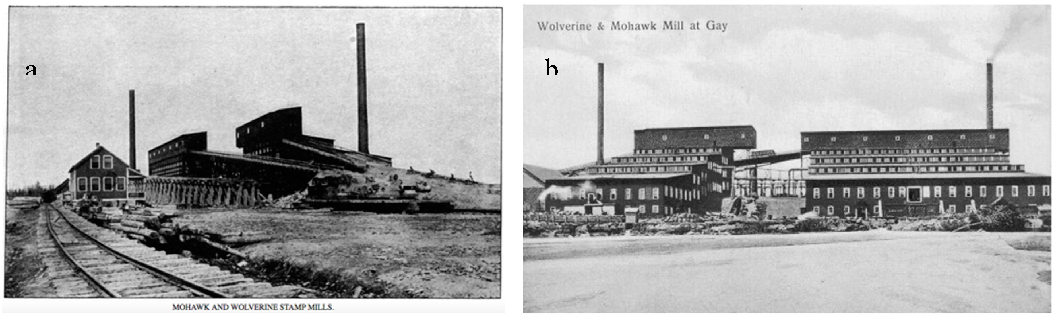 Preprints 141589 g004