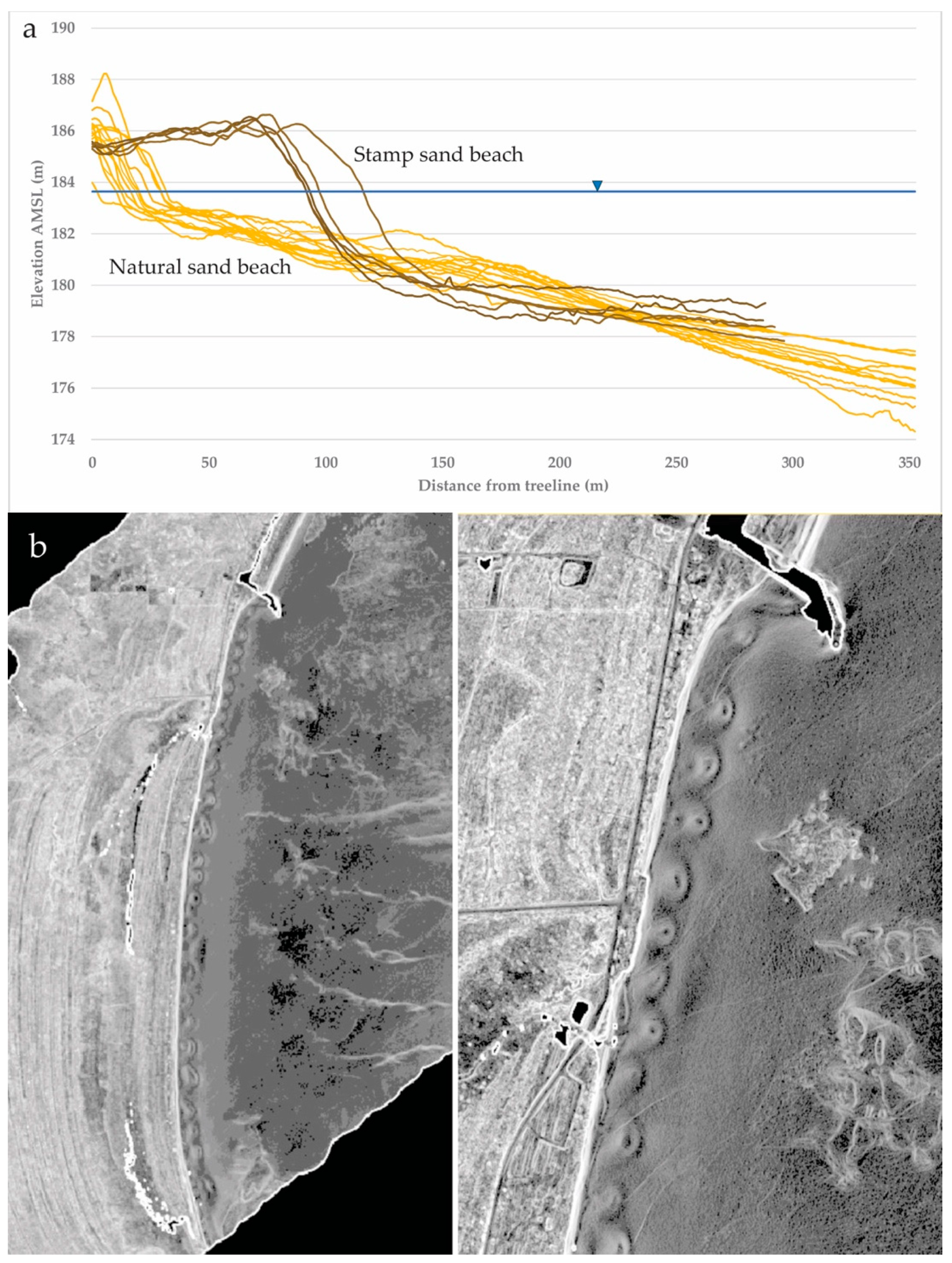 Preprints 141589 g012
