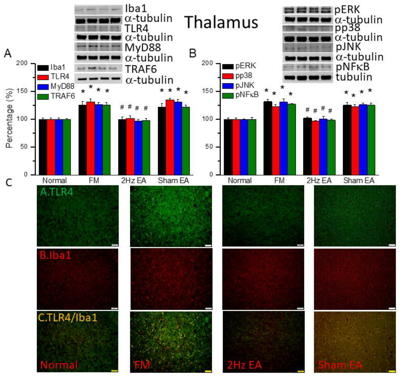 Preprints 97182 g002