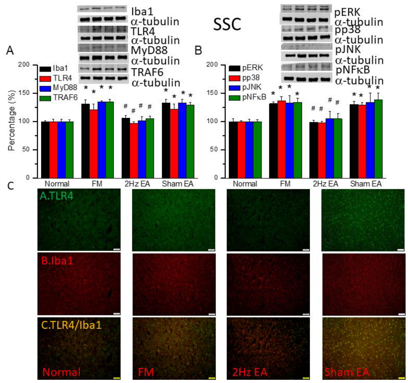 Preprints 97182 g004