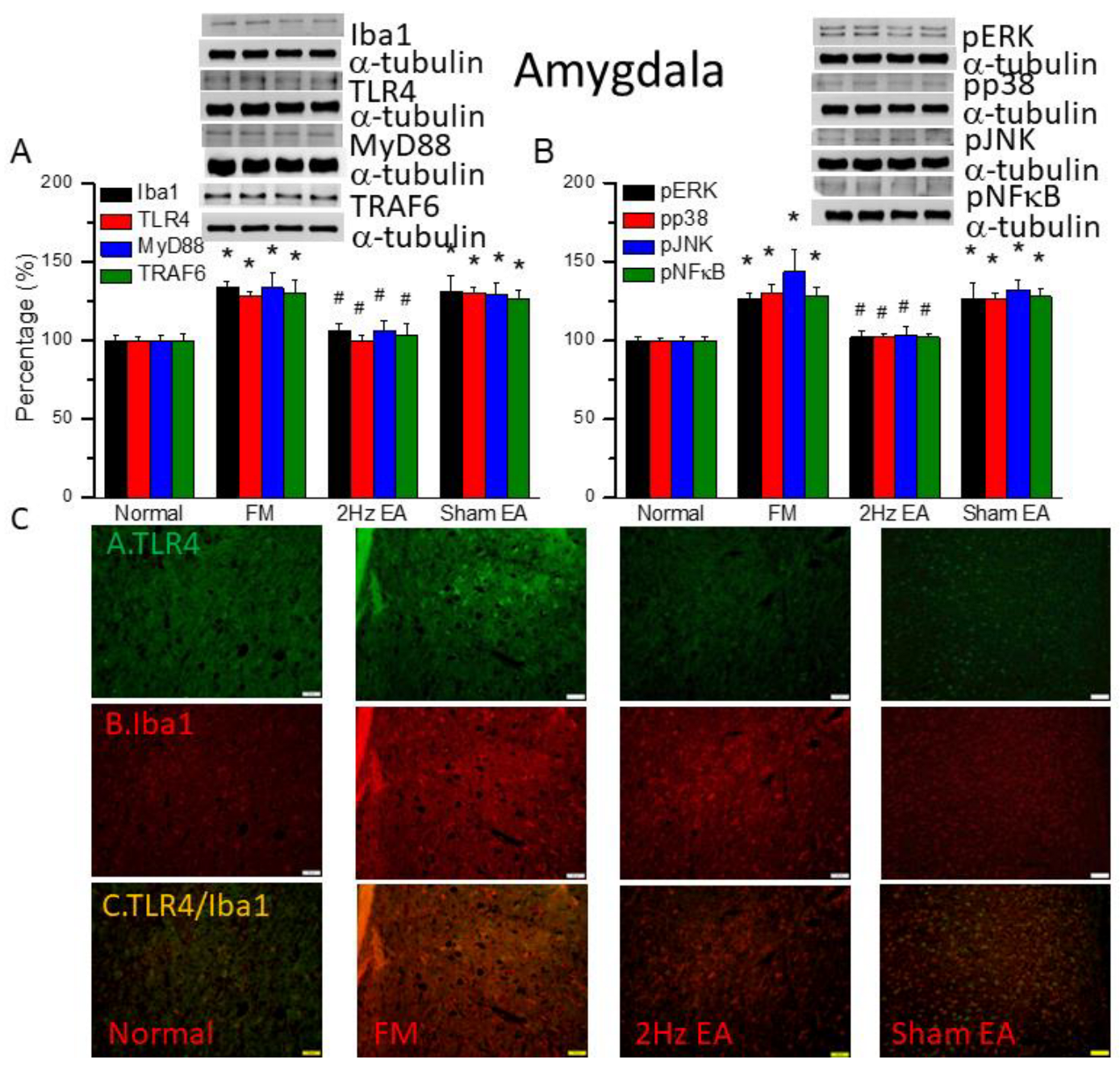 Preprints 97182 g005