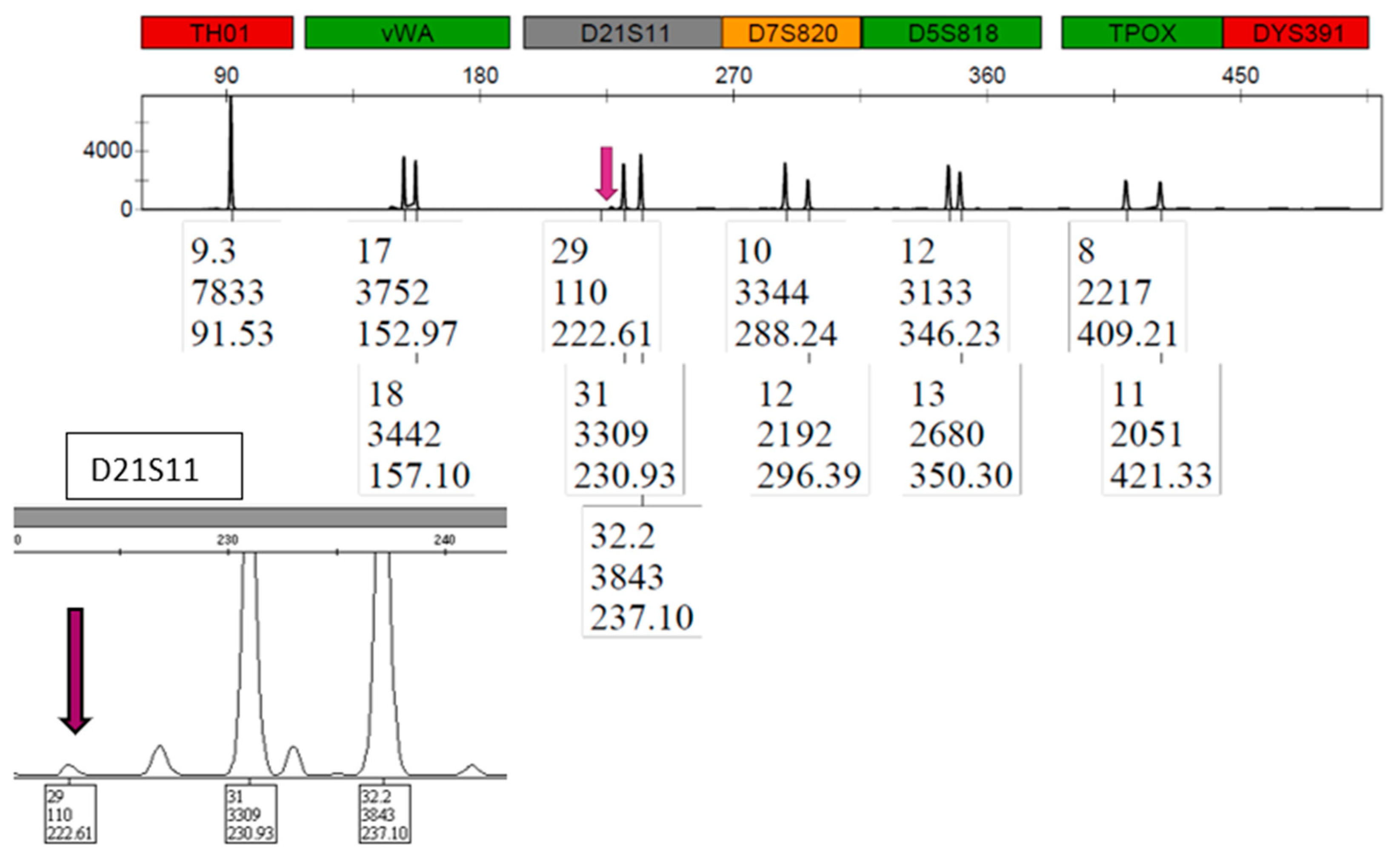 Preprints 84485 g008