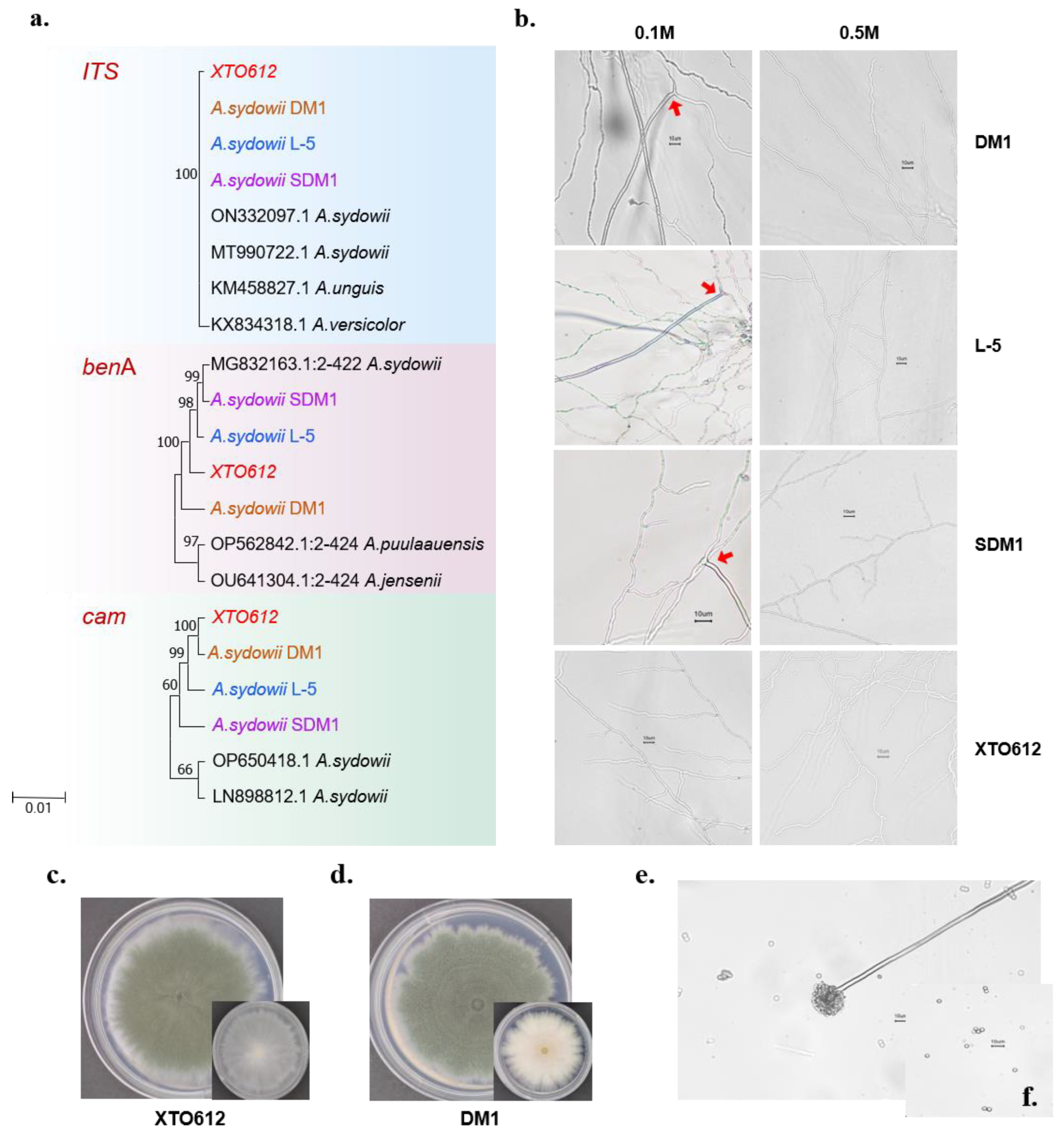 Preprints 156917 g001