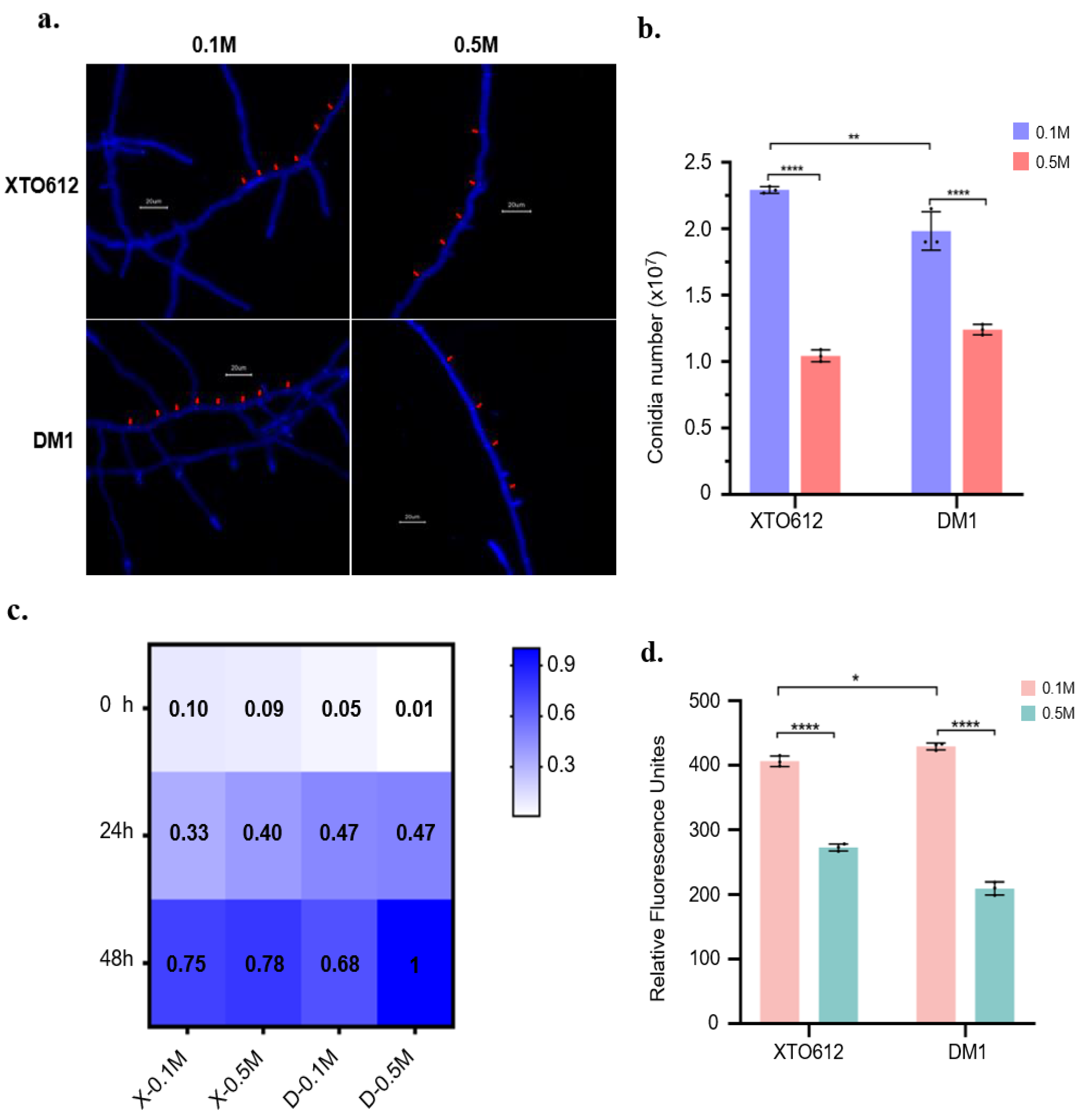 Preprints 156917 g003