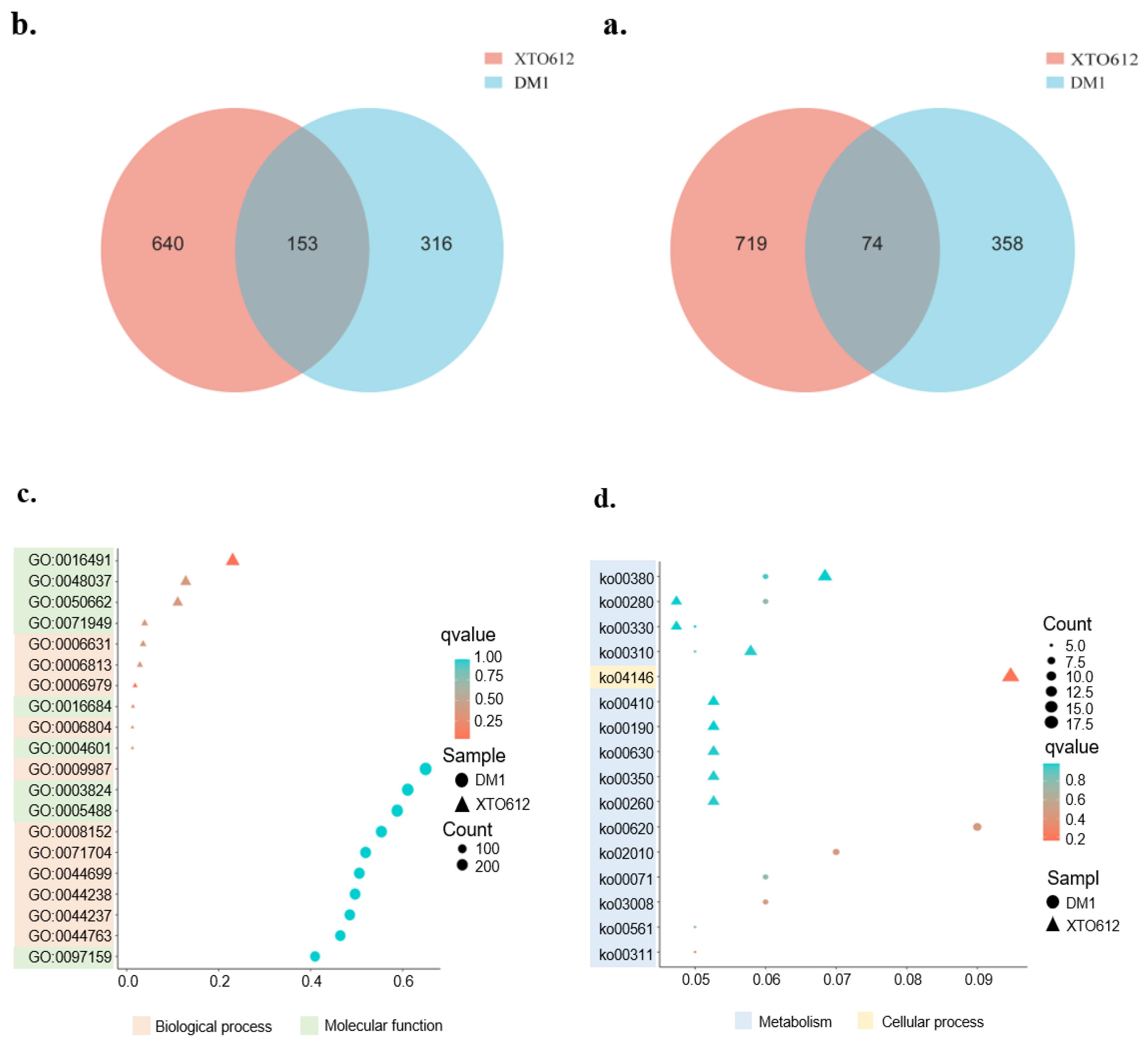 Preprints 156917 g004