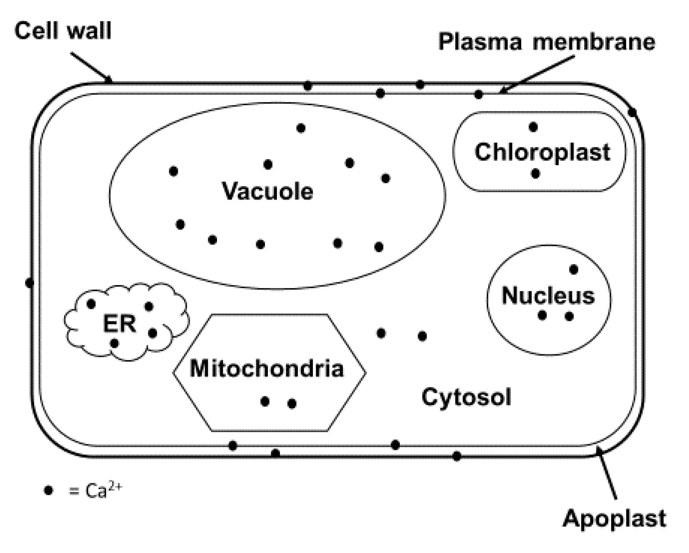Preprints 162247 g001