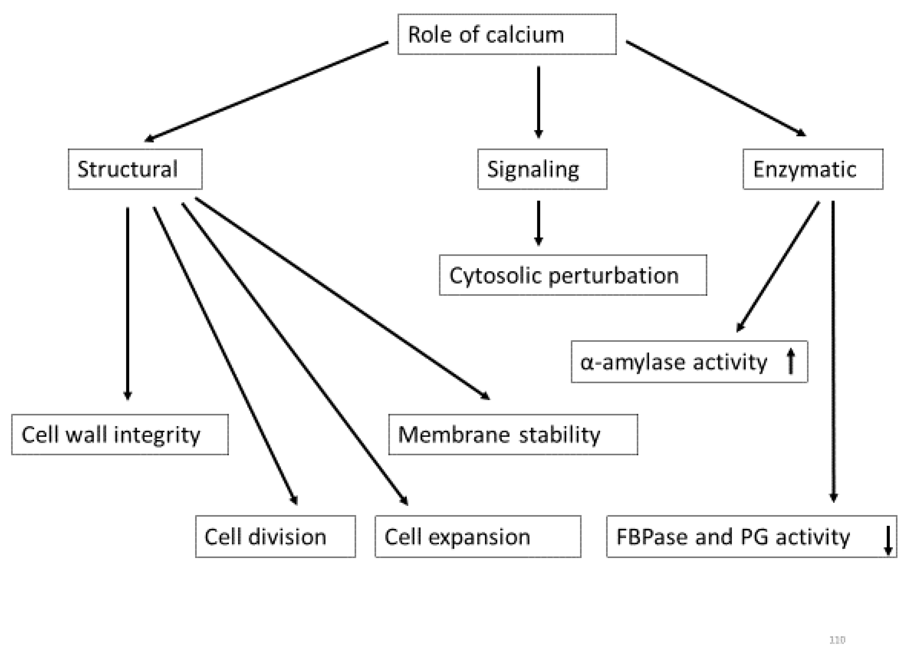 Preprints 162247 g002