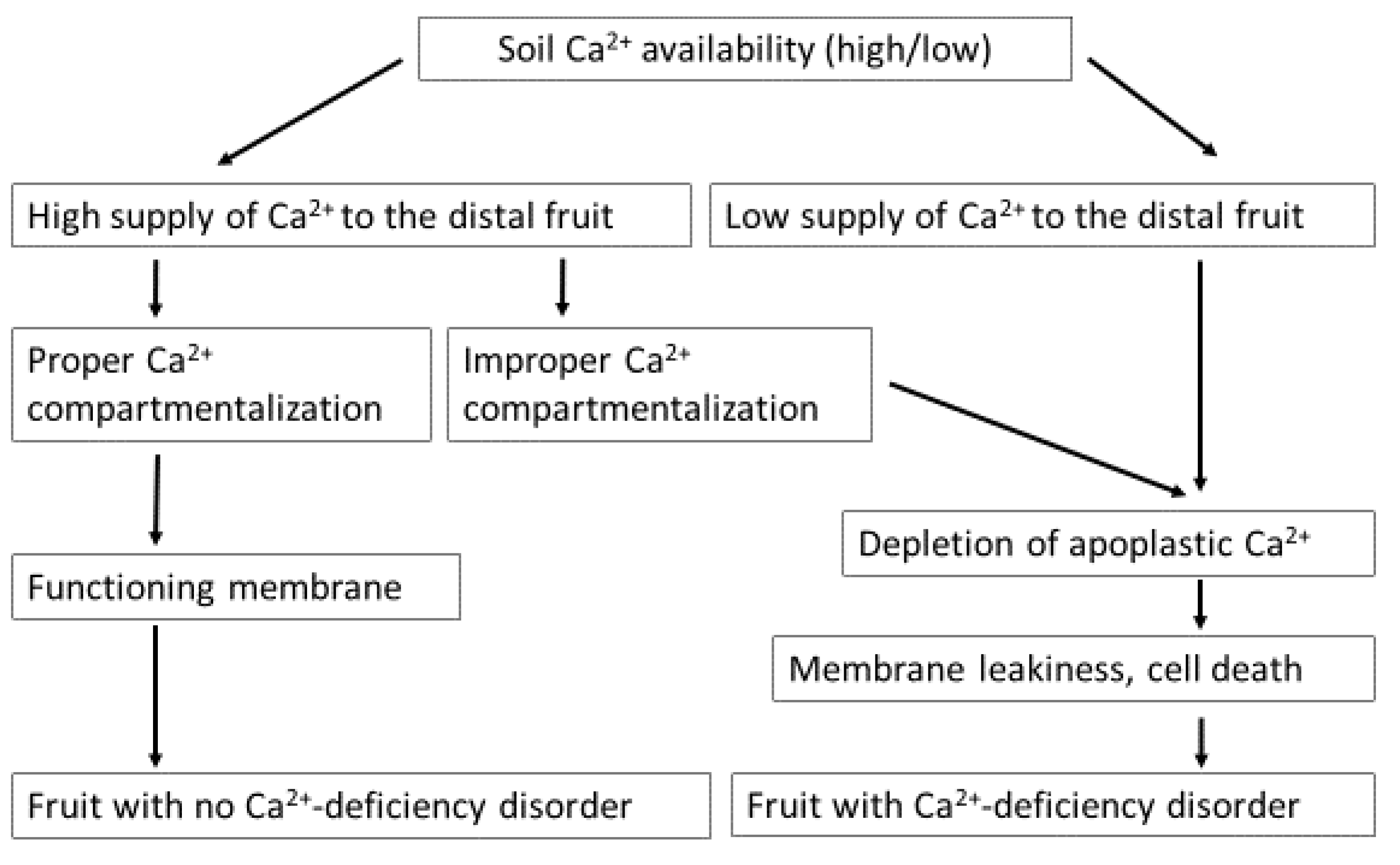 Preprints 162247 g004
