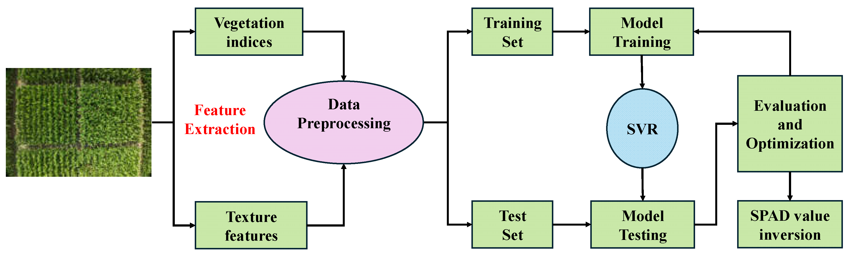 Preprints 217257 g002
