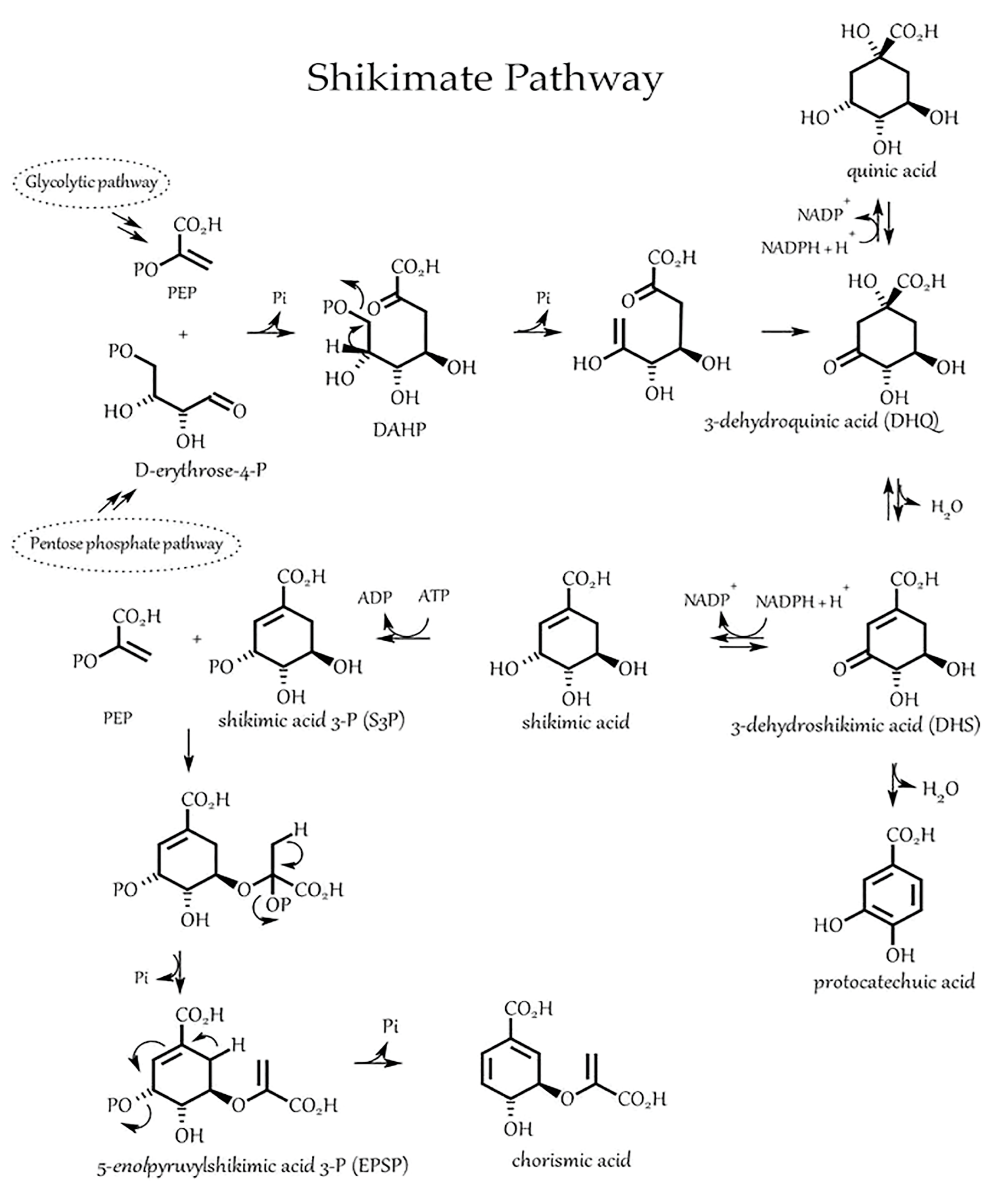Preprints 75754 g005
