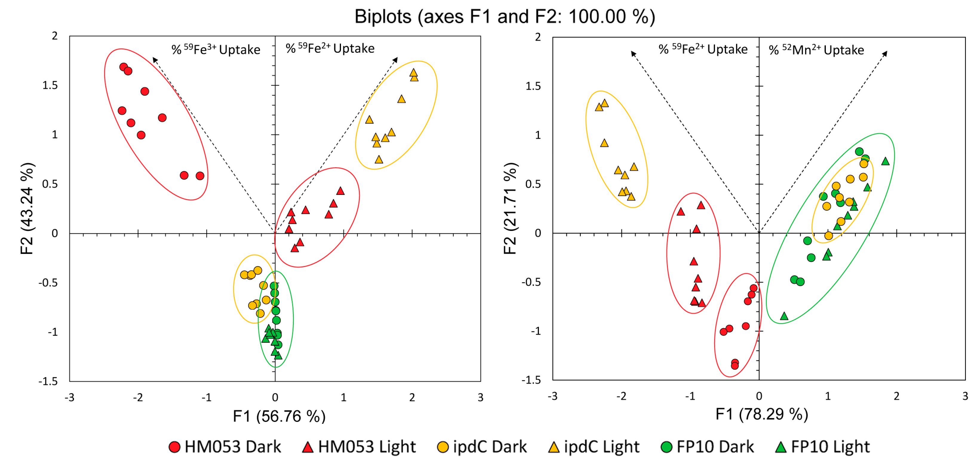 Preprints 75754 g007