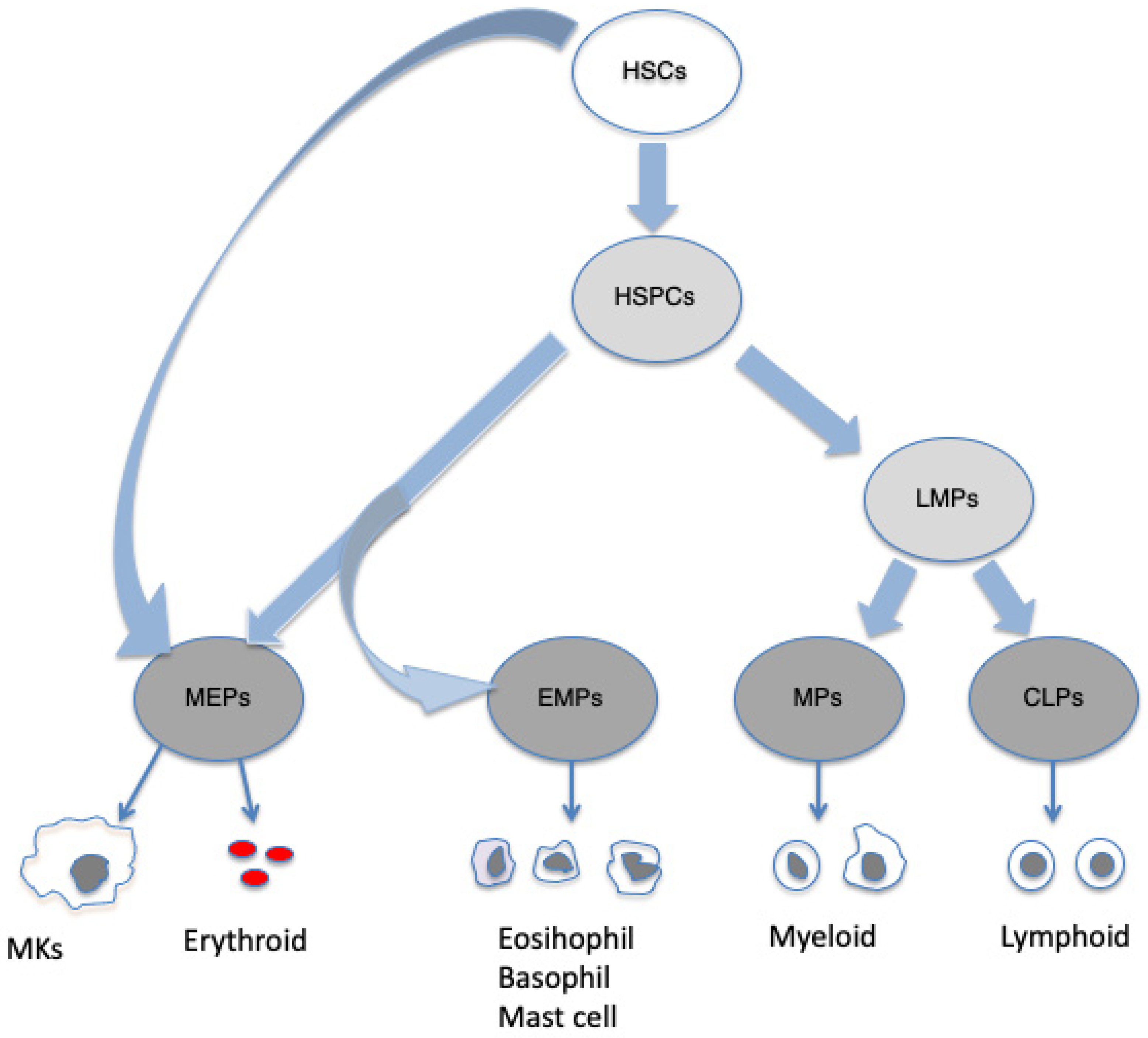 Preprints 147226 g001