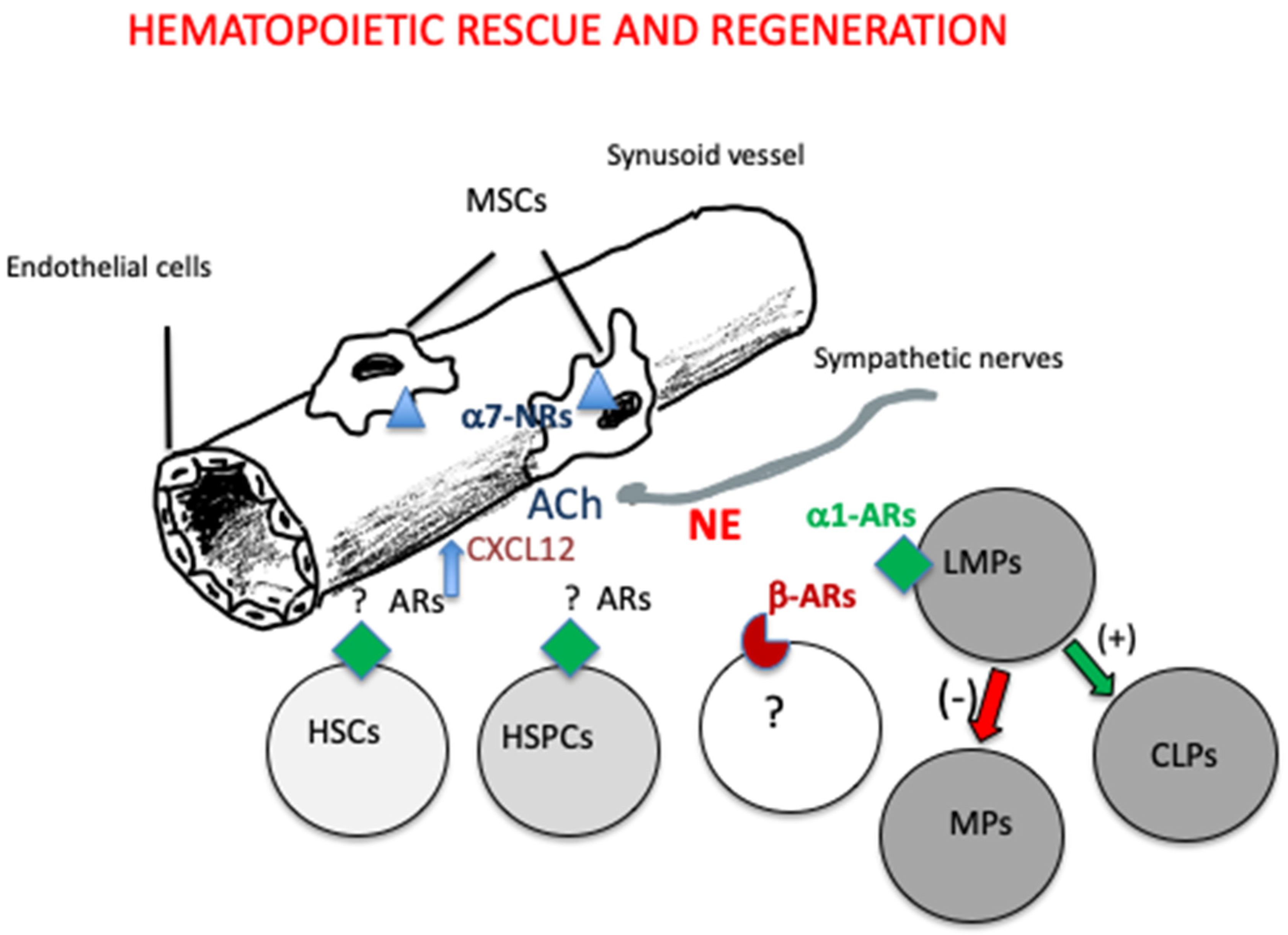 Preprints 147226 g003