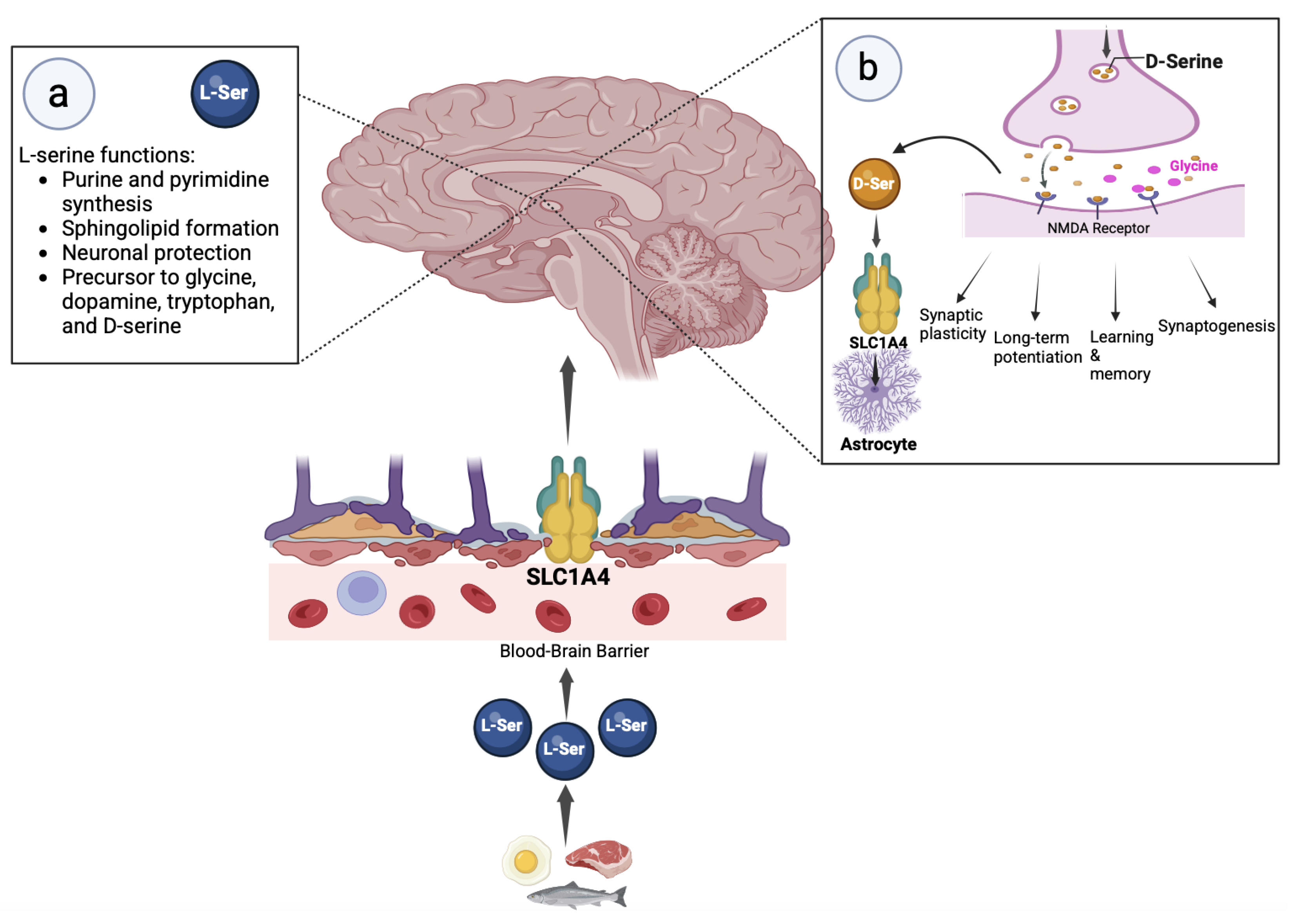 Preprints 147694 g001