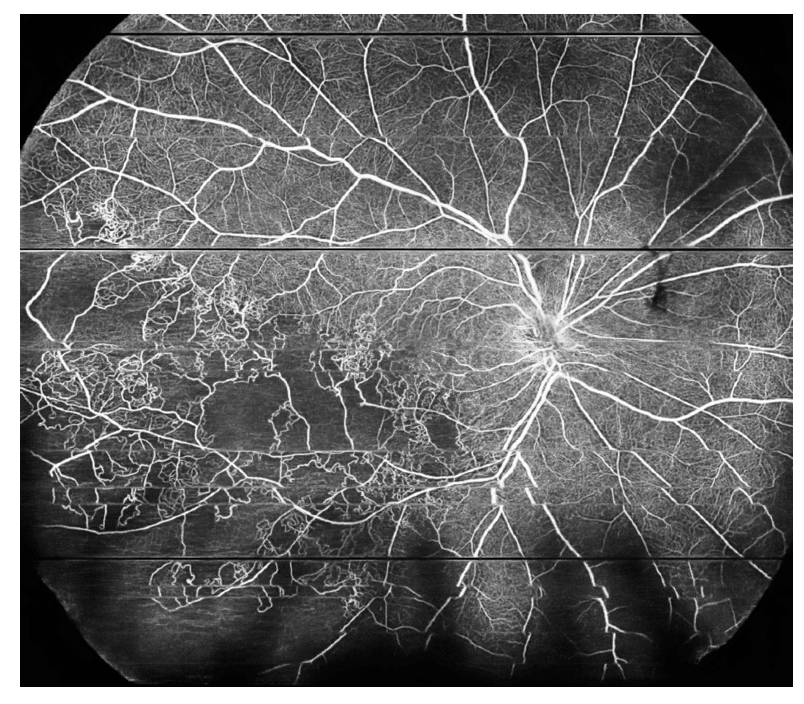 Preprints 95183 g003b