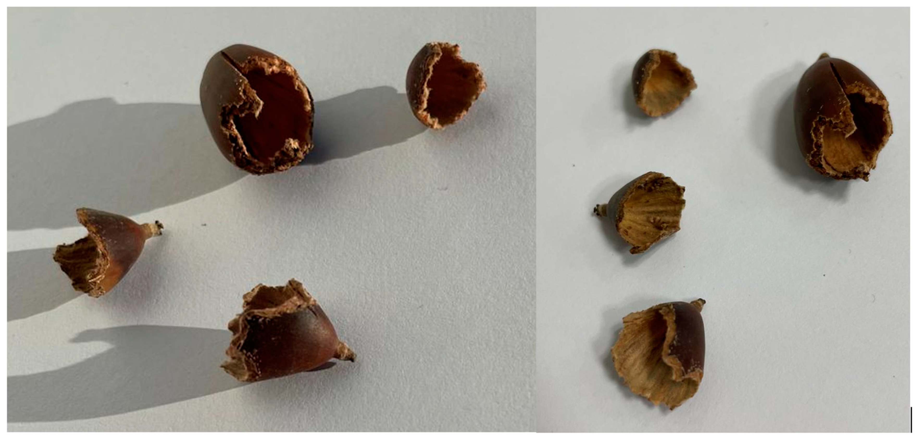 Preprints 189847 g002