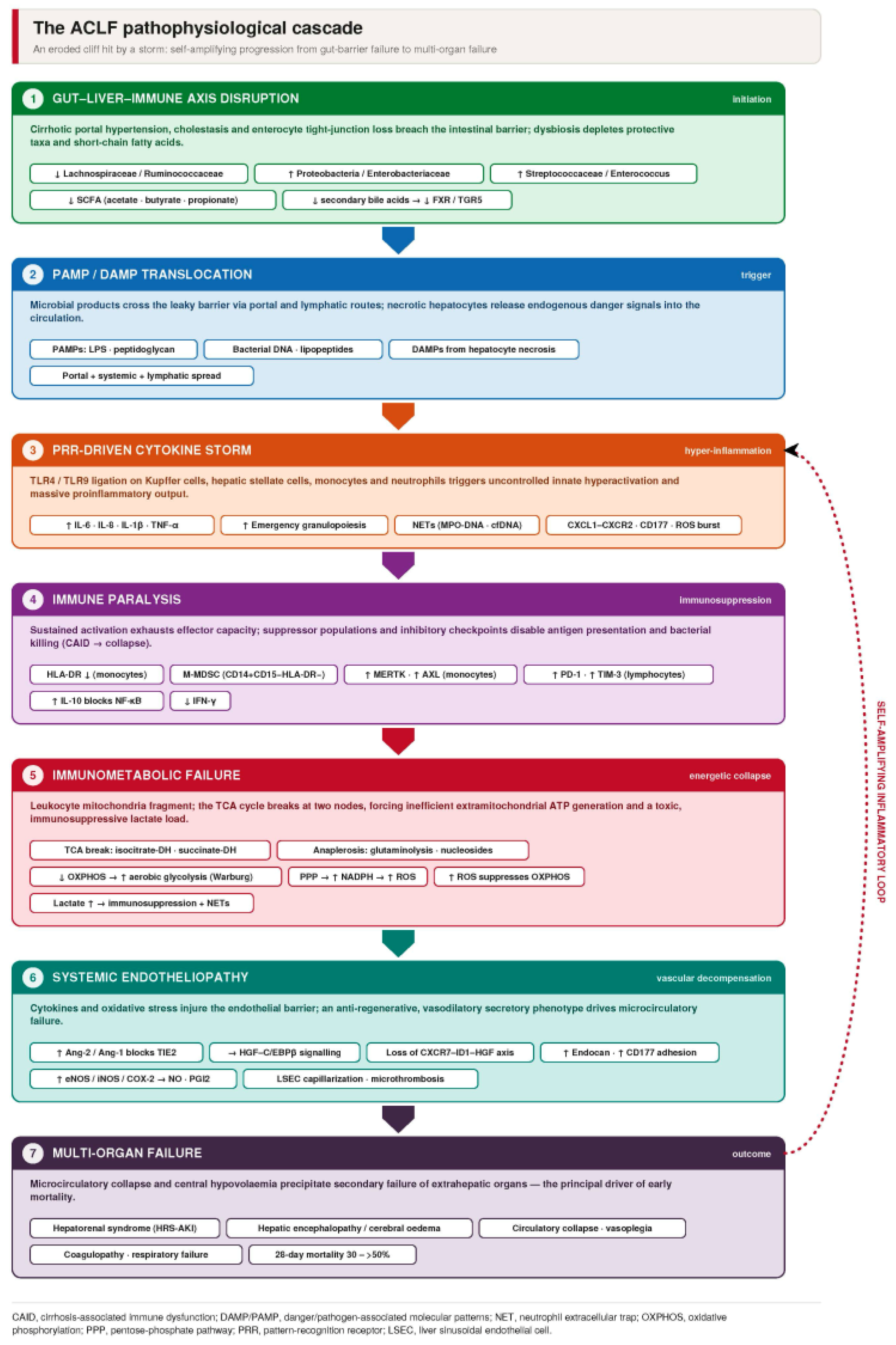 Preprints 219350 g001 Preprints 219350 g001