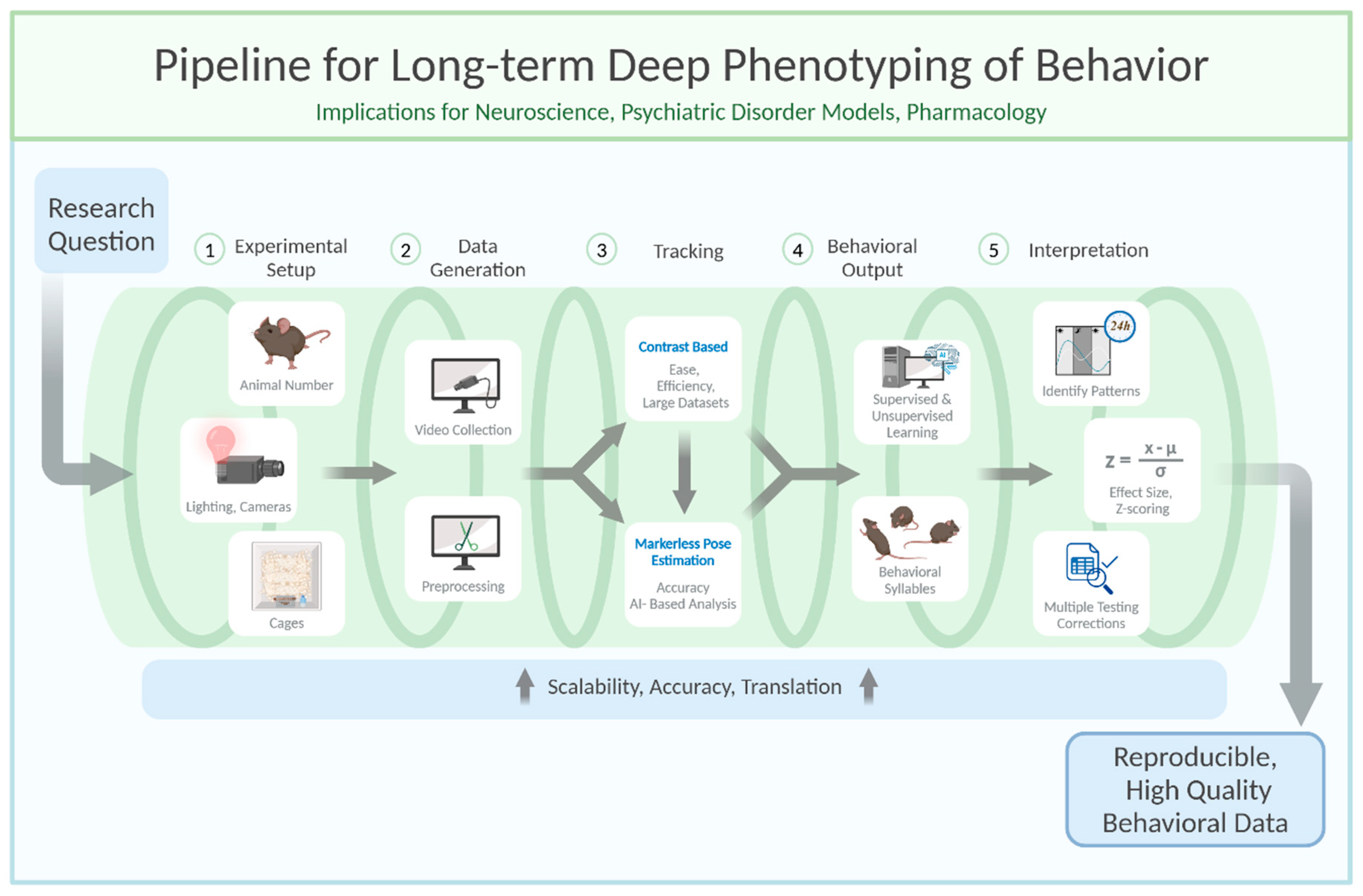 Preprints 154862 g001