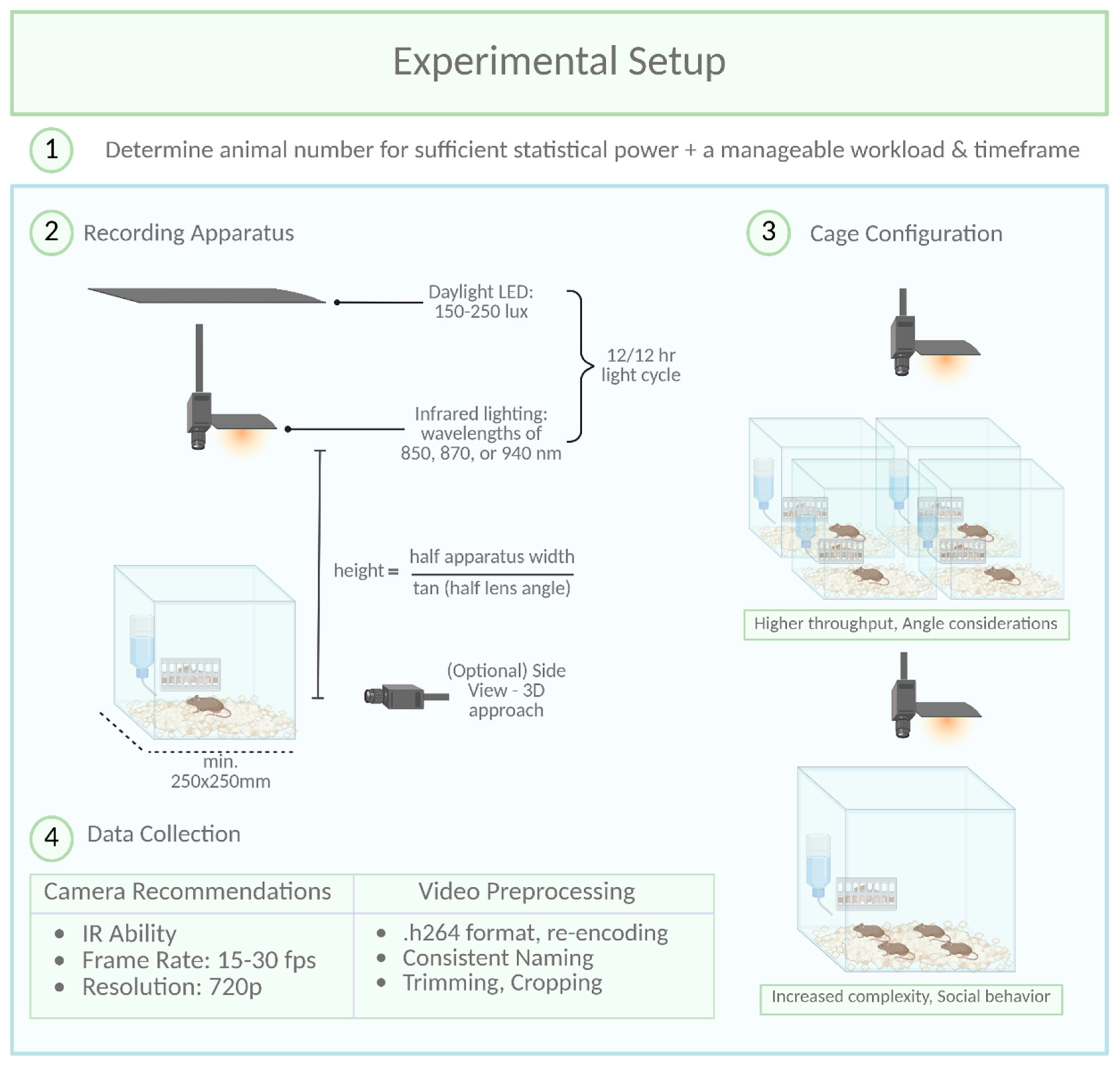 Preprints 154862 g002