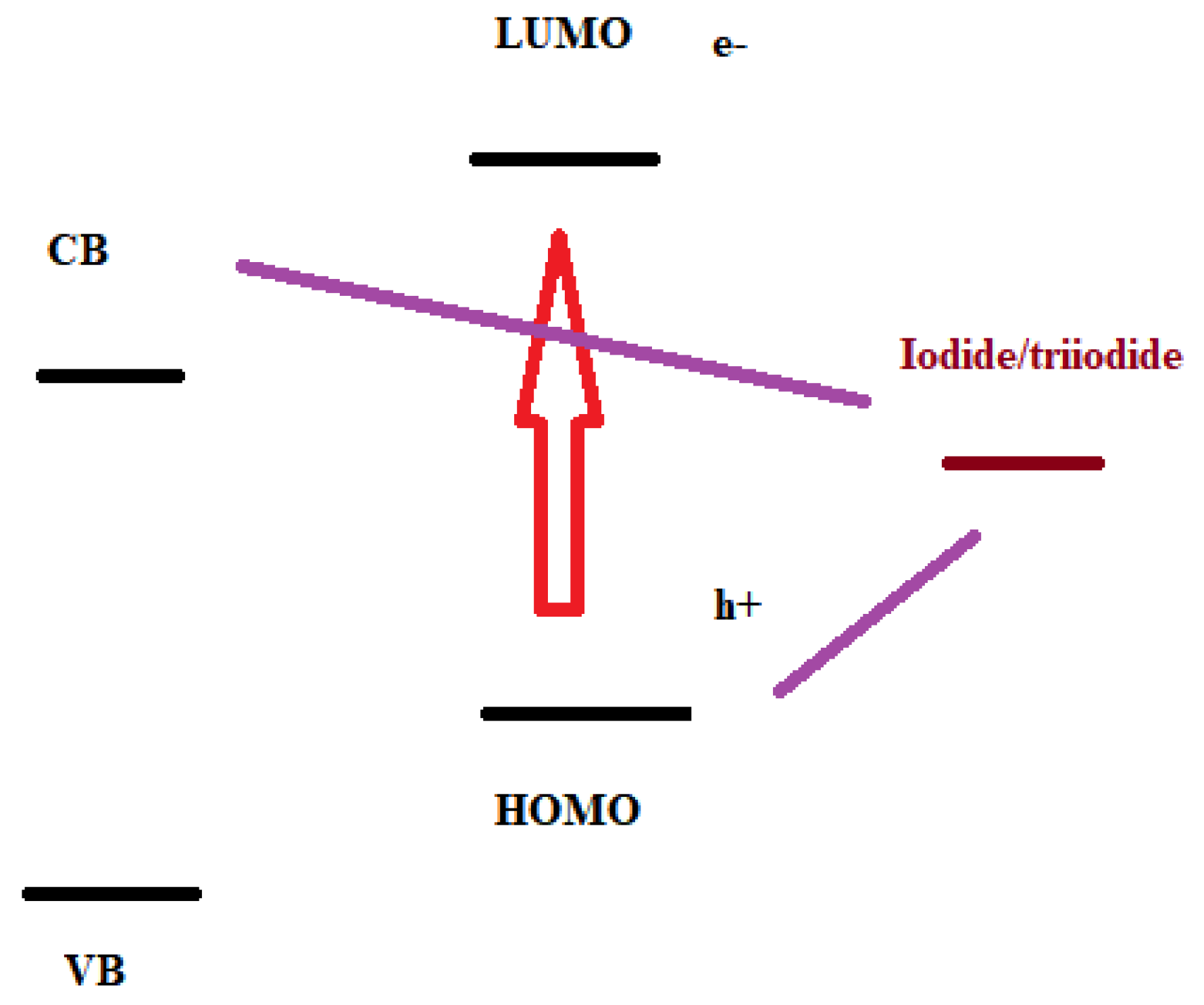 Preprints 150678 g007