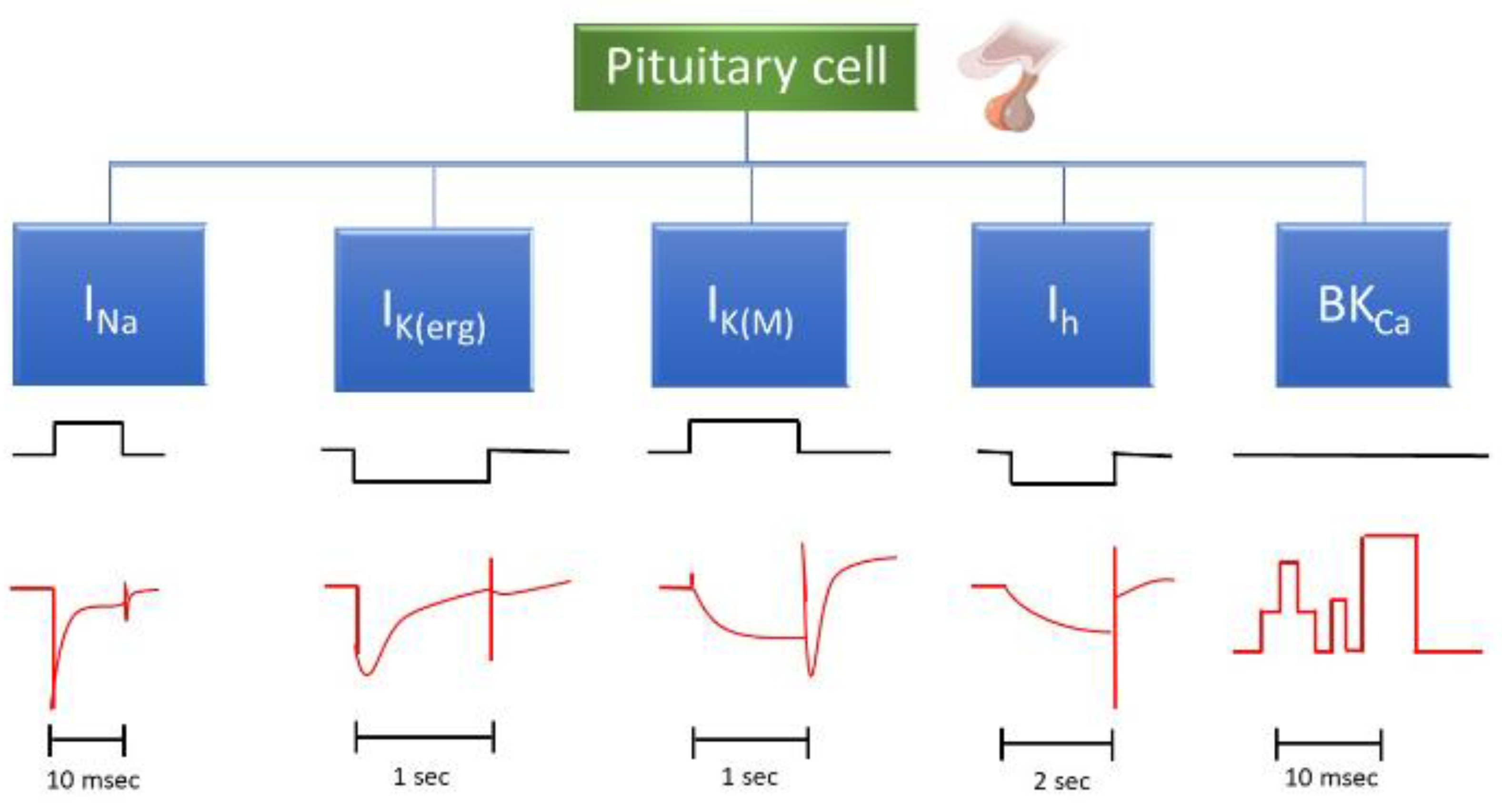 Preprints 152535 g002