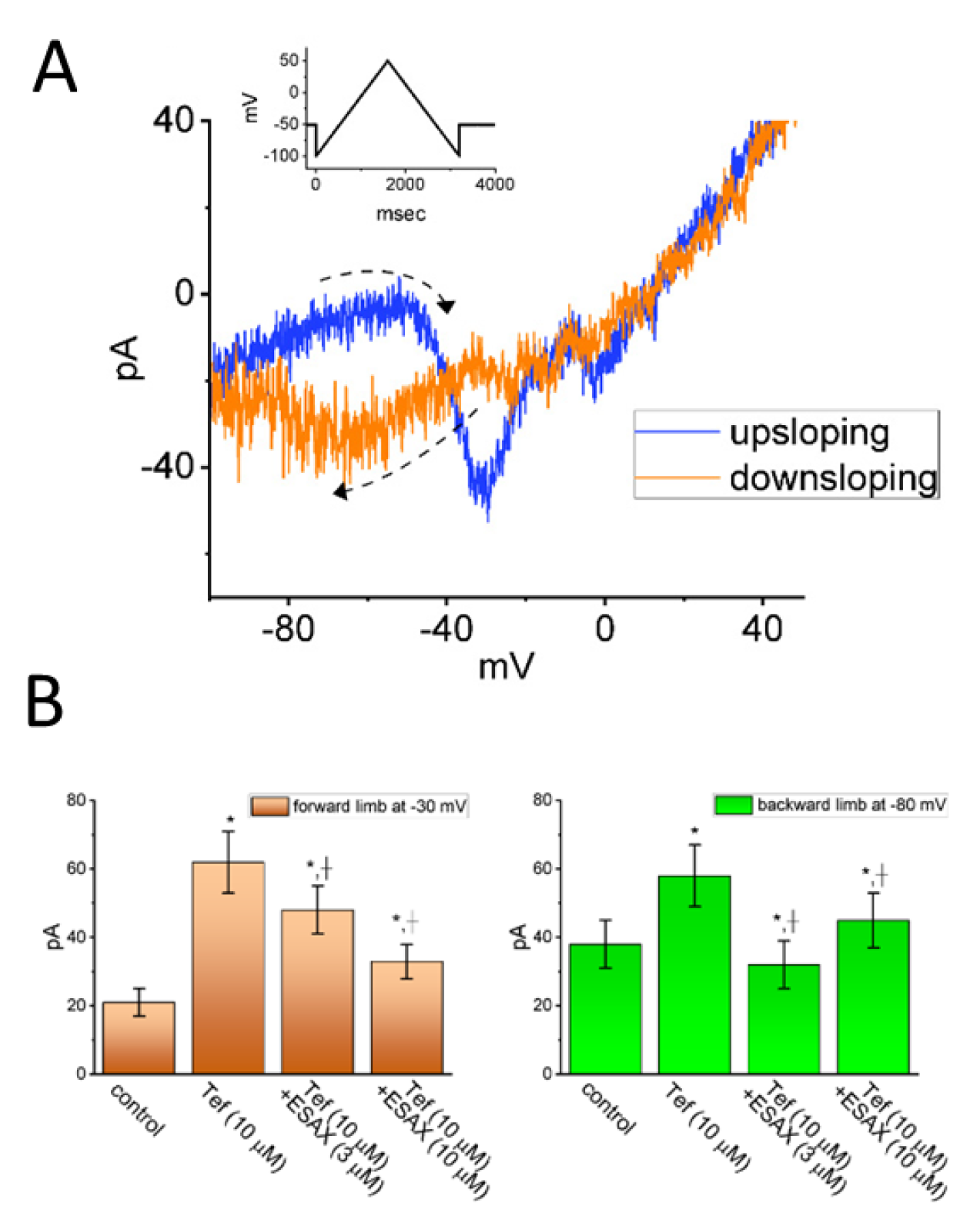 Preprints 152535 g003