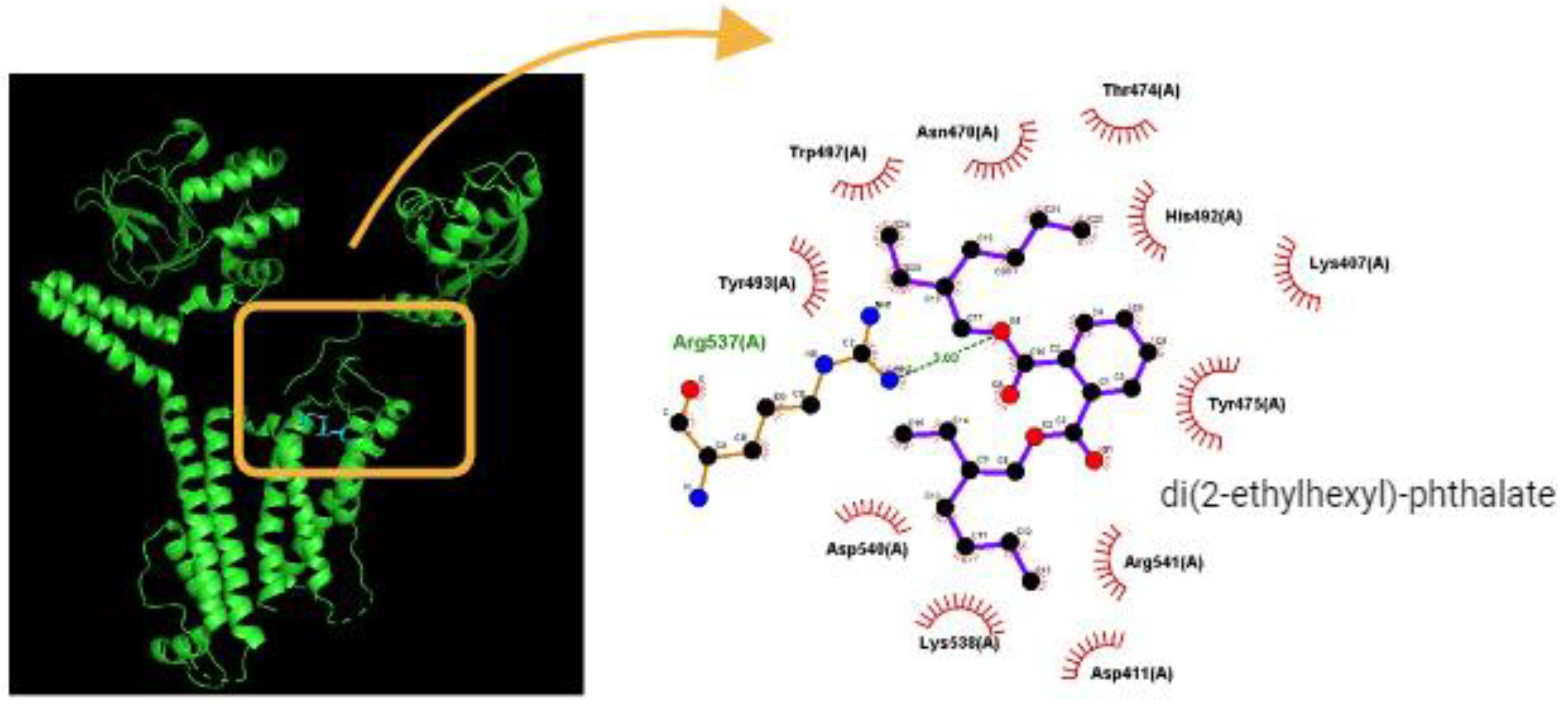 Preprints 152535 g004