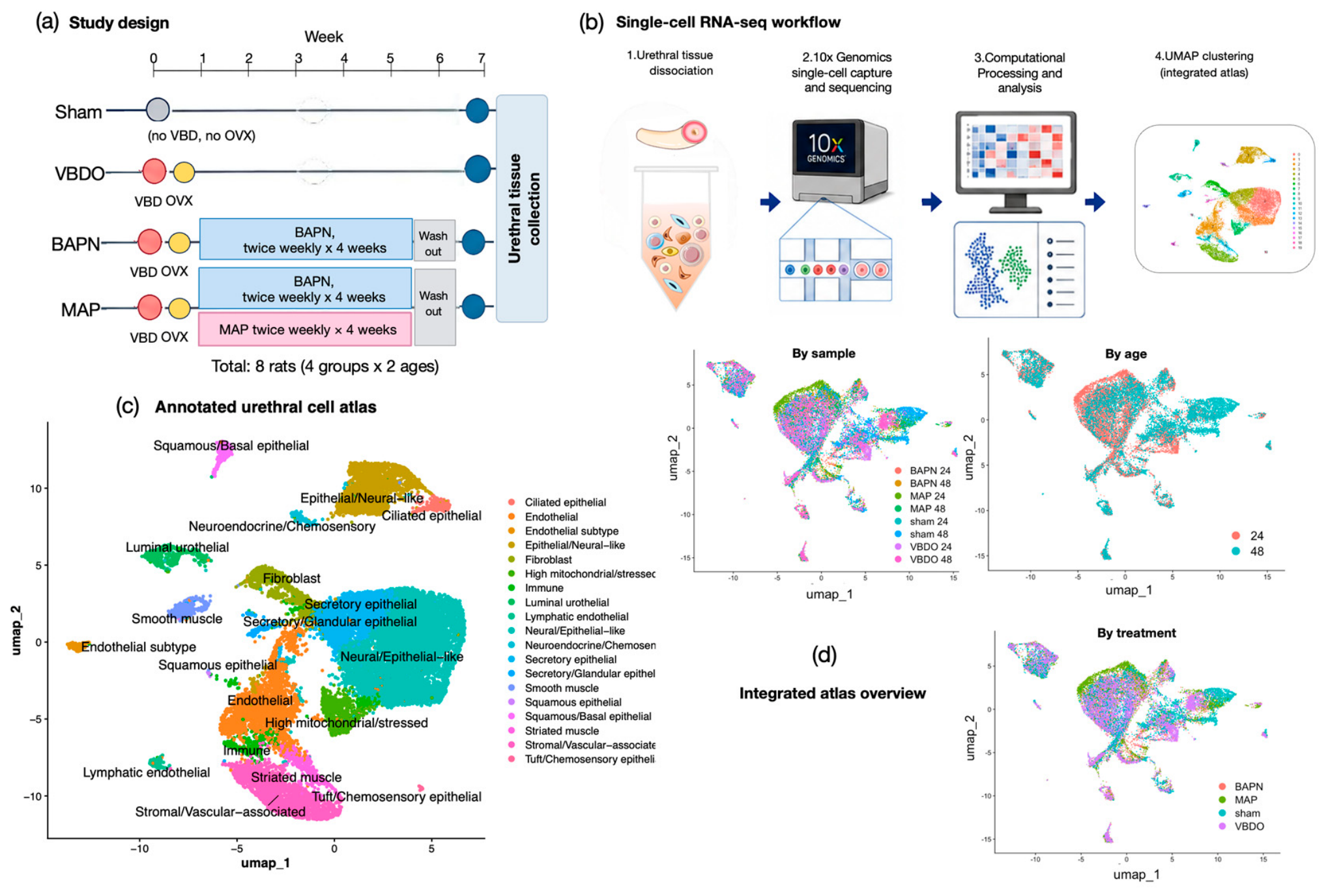 Preprints 236805 g001 Preprints 236805 g001