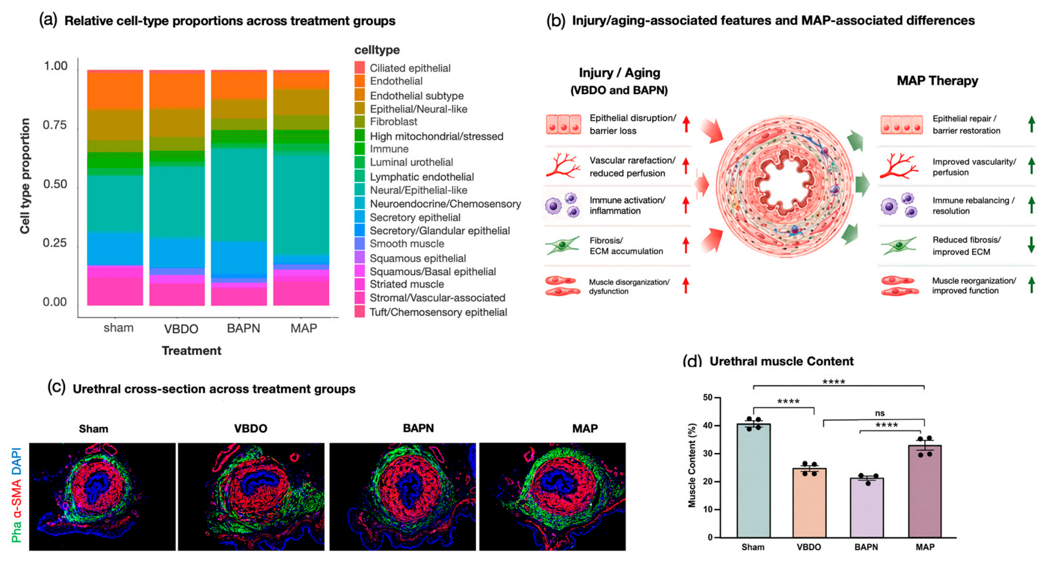 Preprints 236805 g002 Preprints 236805 g002